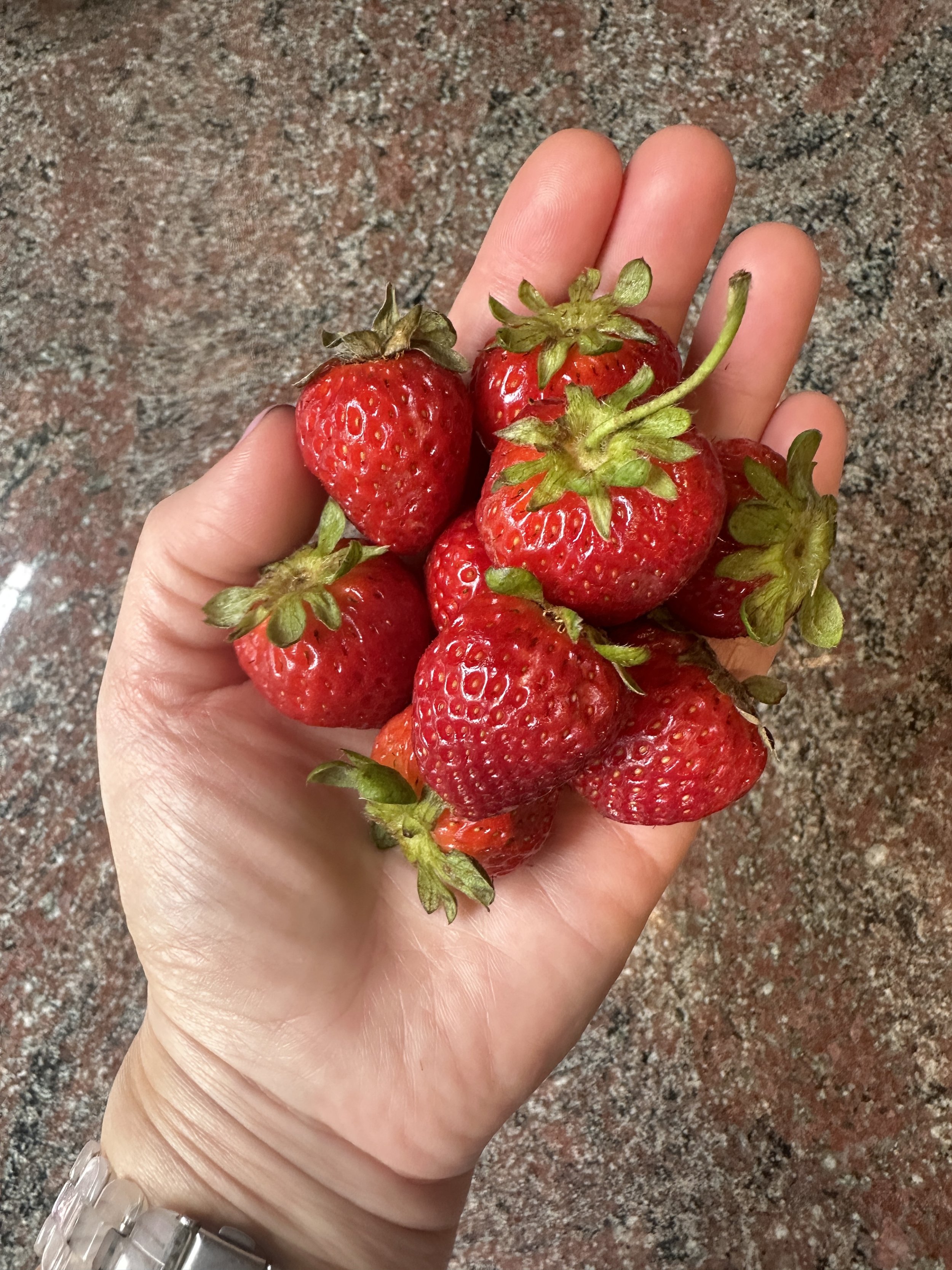 Why Our Strawberry Preserves Taste Like Childhood