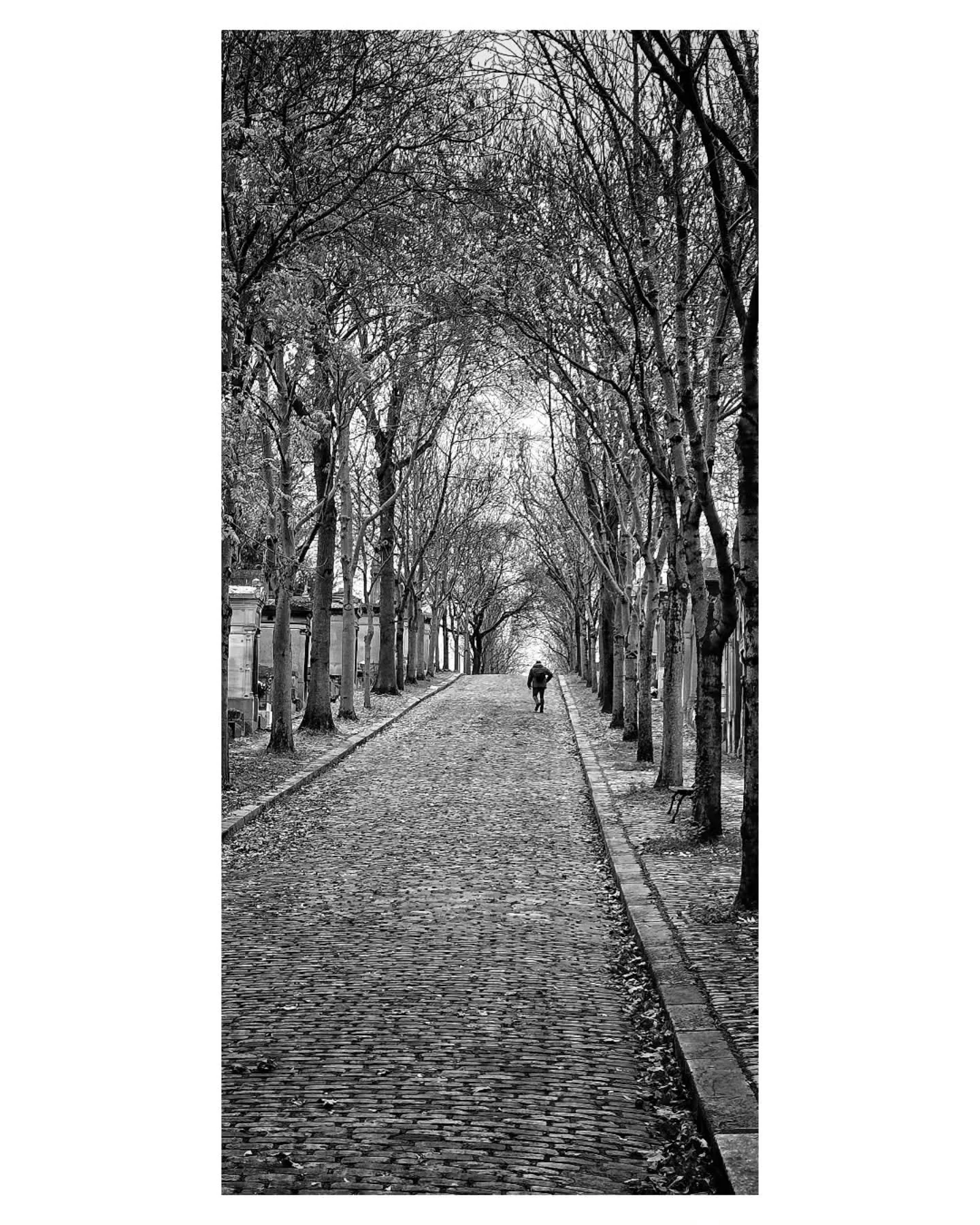 The End Path.

#blackandwhitephotography #streetphotography_bw #streetphotography #paris #france #graveyard #beautyinthemundane #rjthepigeon