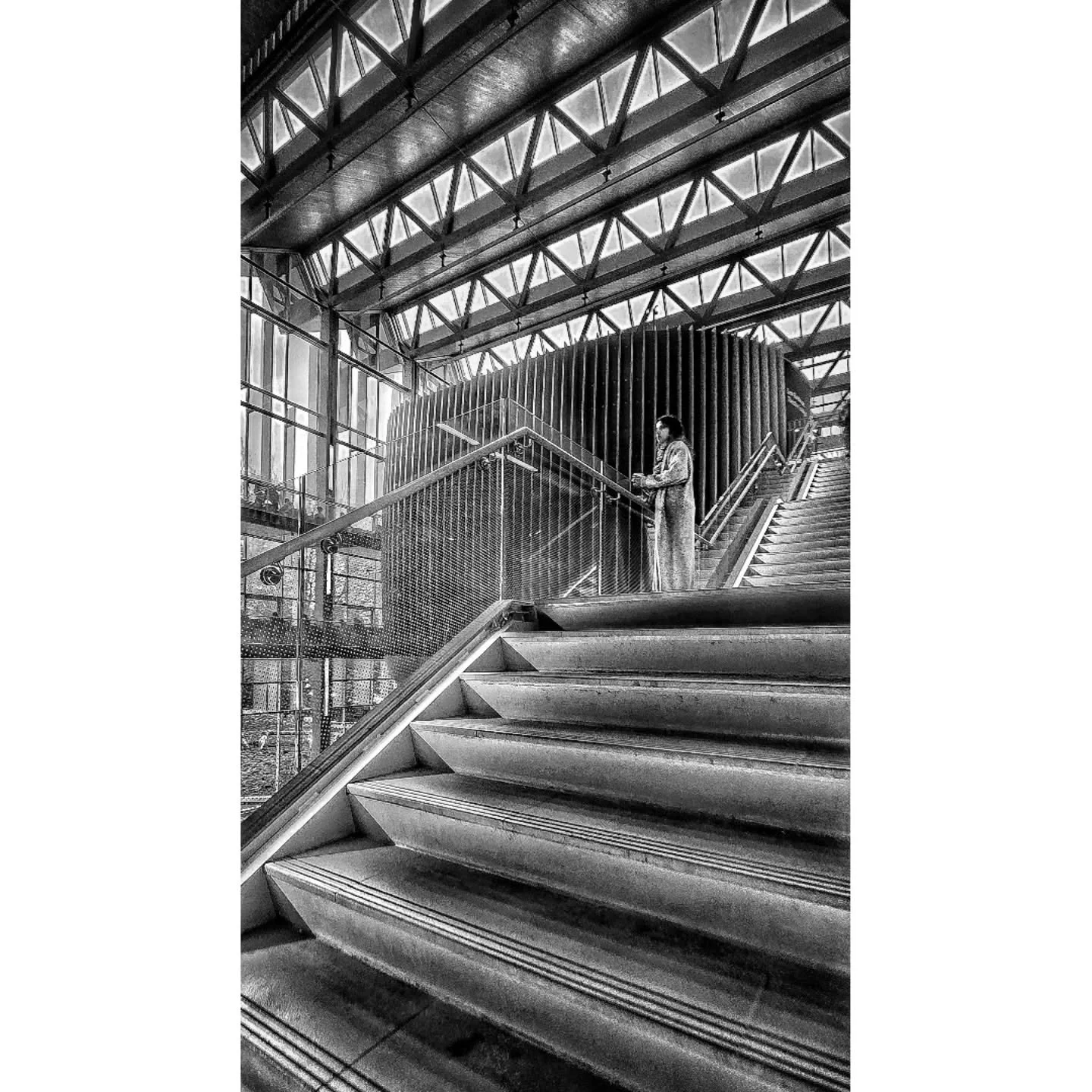 The Admirer.

#streetphotography_bw
#streetphotography #blackandwhitephotography 
#geometry #ubc #vancouver #rjthepigeon