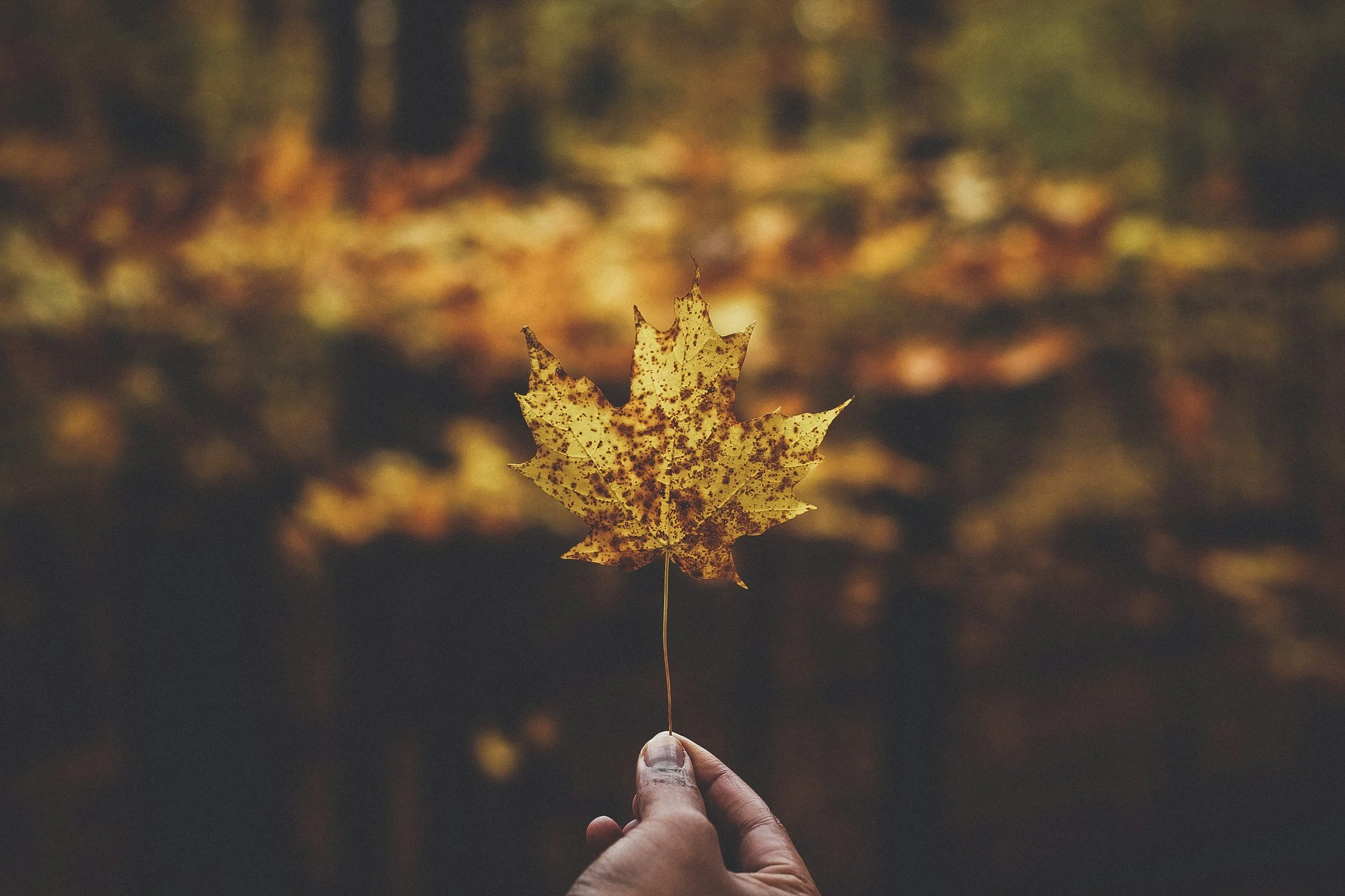 Breath & Thrive Retreat