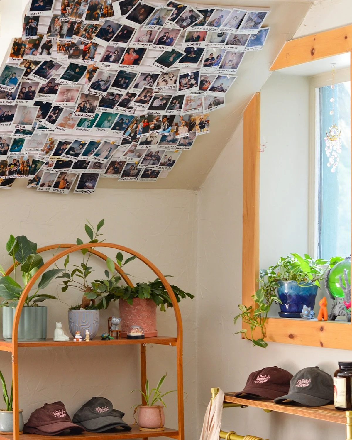 So many adoptions we&rsquo;ve had to find a new spot in the cafe to showcase 💛 swipe to see a handful of the adoptions 🐈