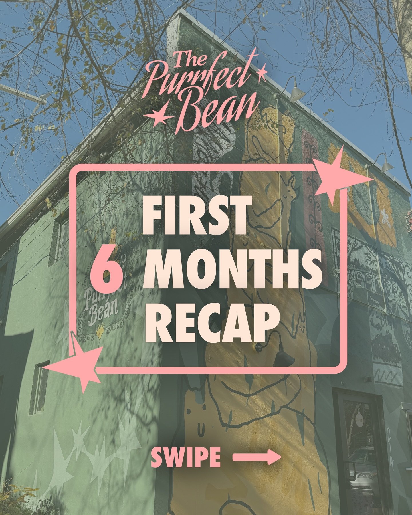 So hard to believe it&rsquo;s already been an entire 6 months of the purrfect bean being open! 

Thank you all tons for your support and helping us reach over 200+ adoptions!!! 💗 To celebrate - April 1st &amp; 2nd: All drinks (including seasonal) ar