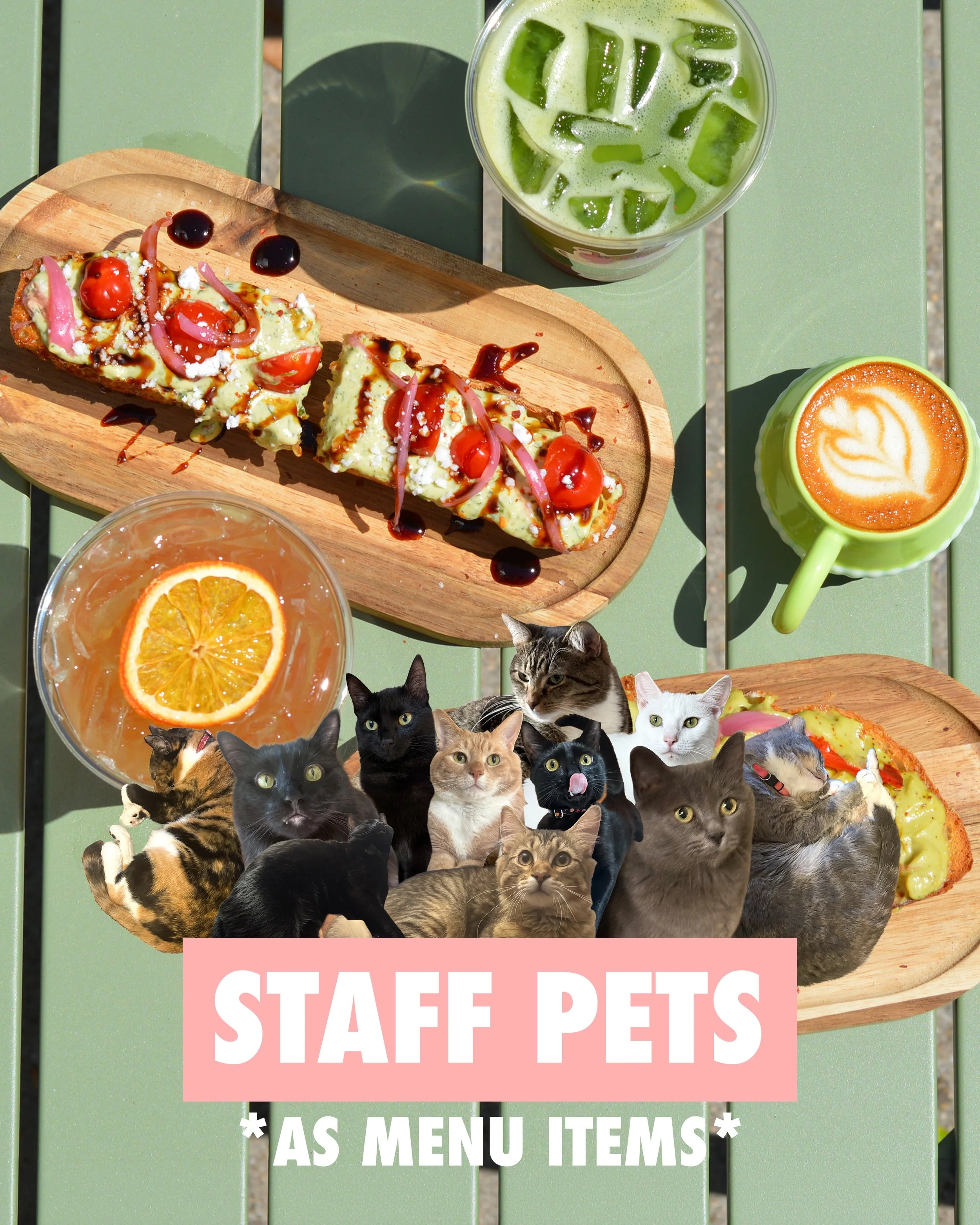 STAFF PETS AS MENU ITEMS ROUND 2 🌈

Which slide is your fav 🫣