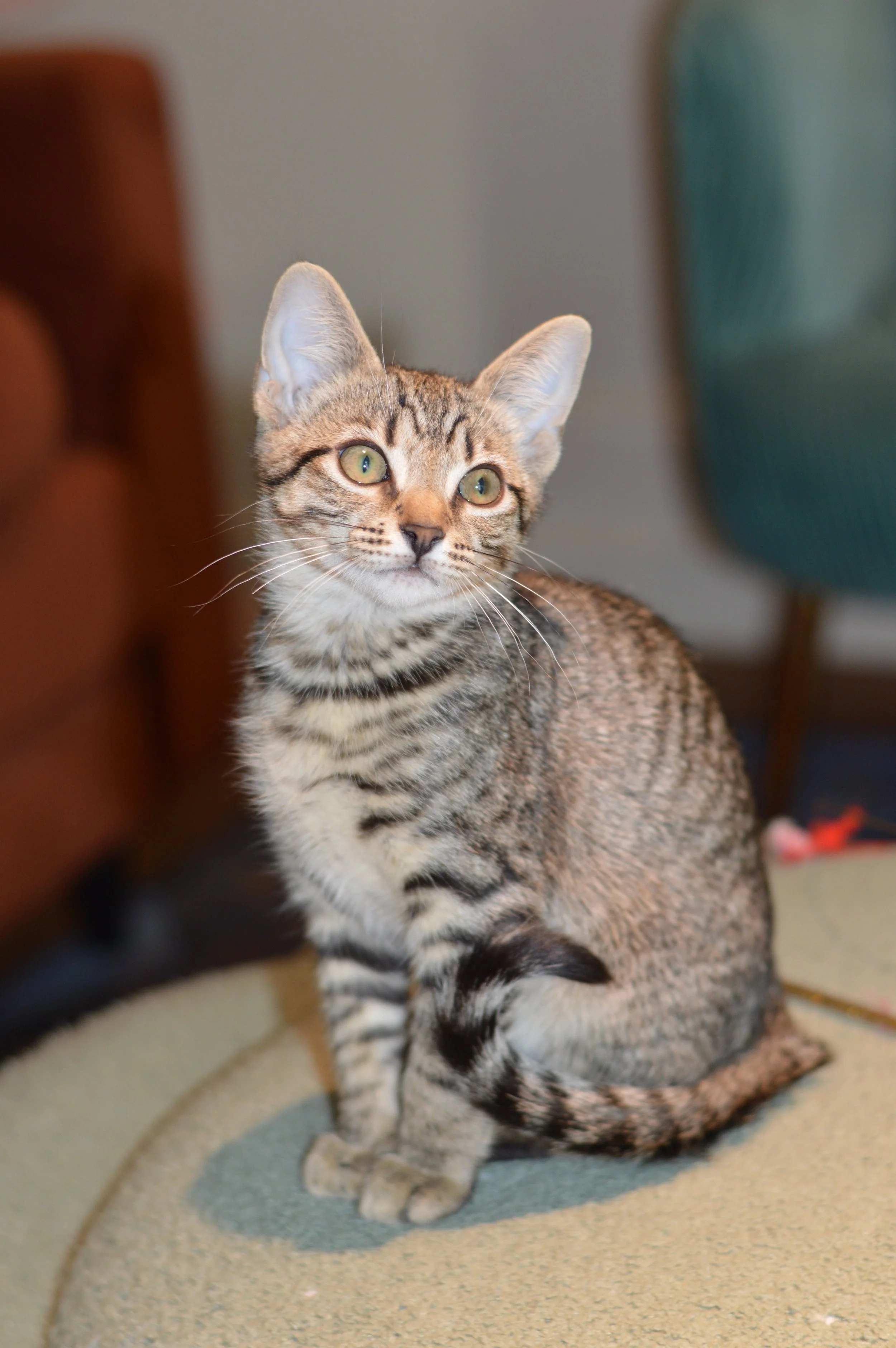 DSC_0580.JPG