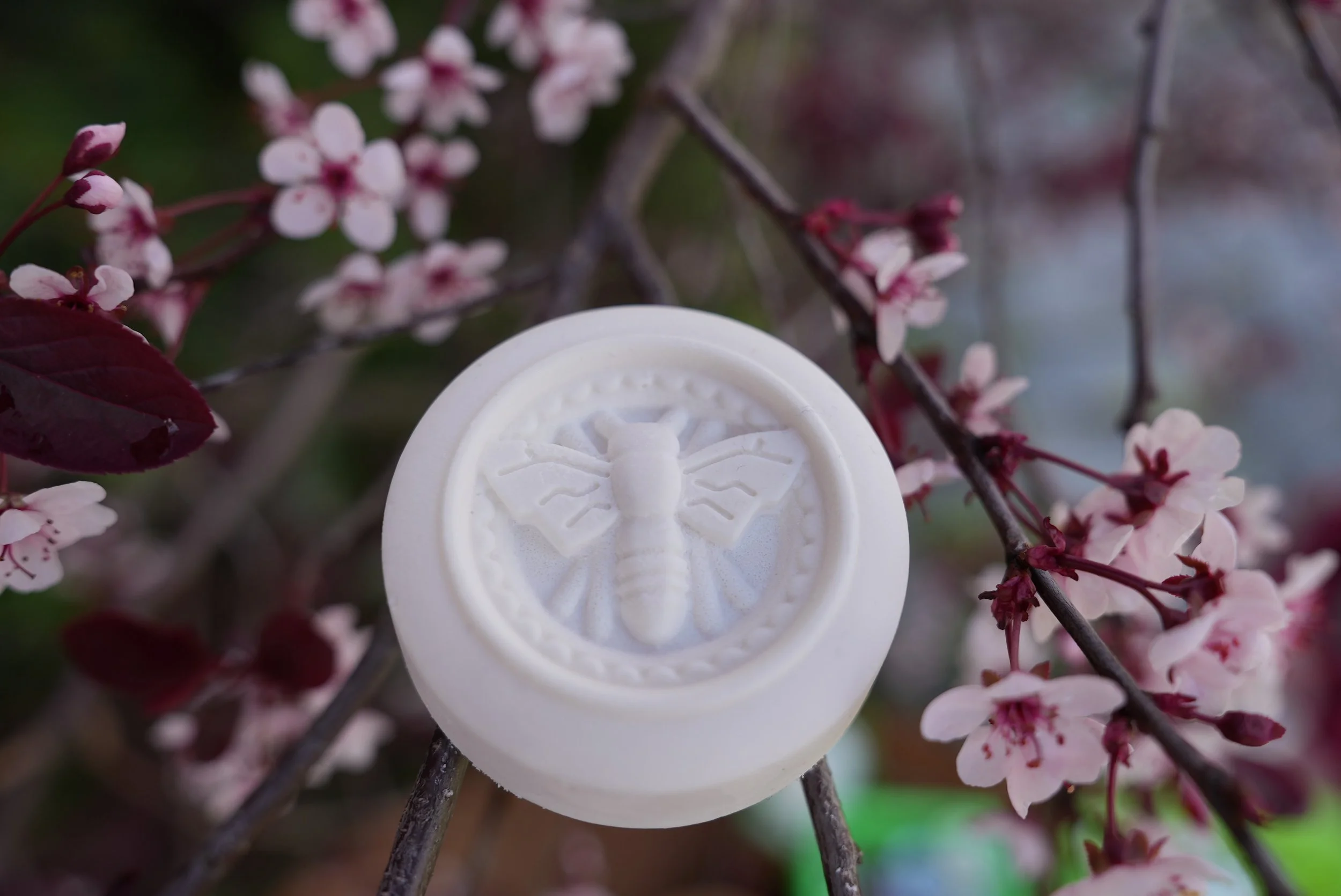 Meadow Bee Solid Deodorant Bar without any packaging sitting on a pretty tree branch