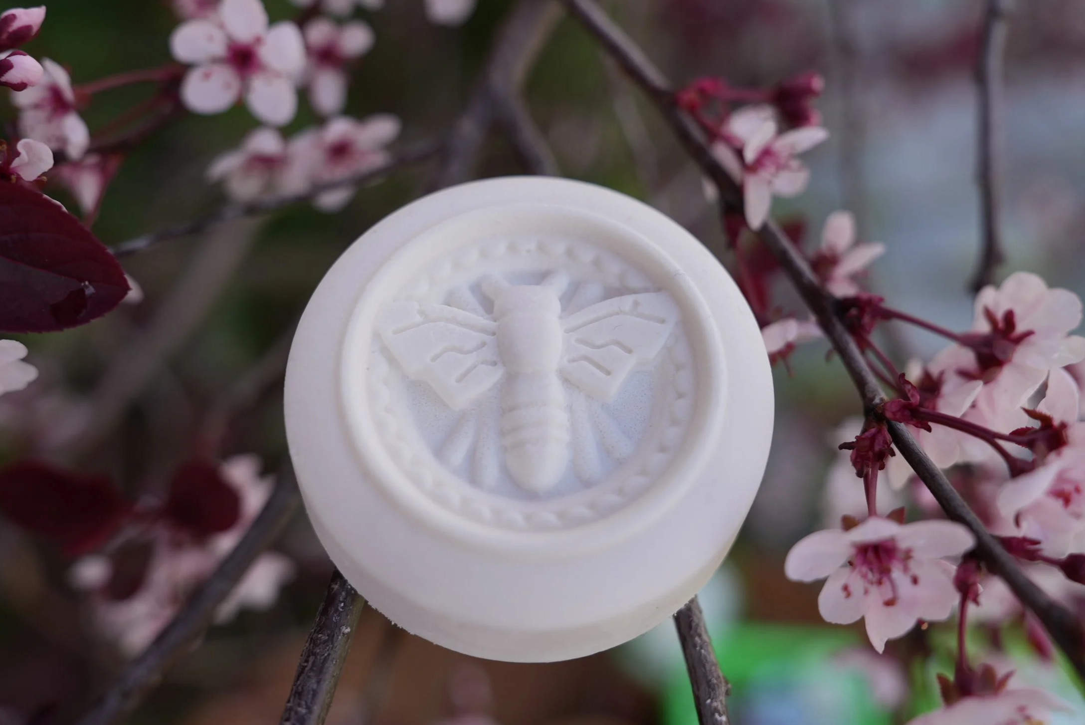 Package Free Solid Deodorant Bar