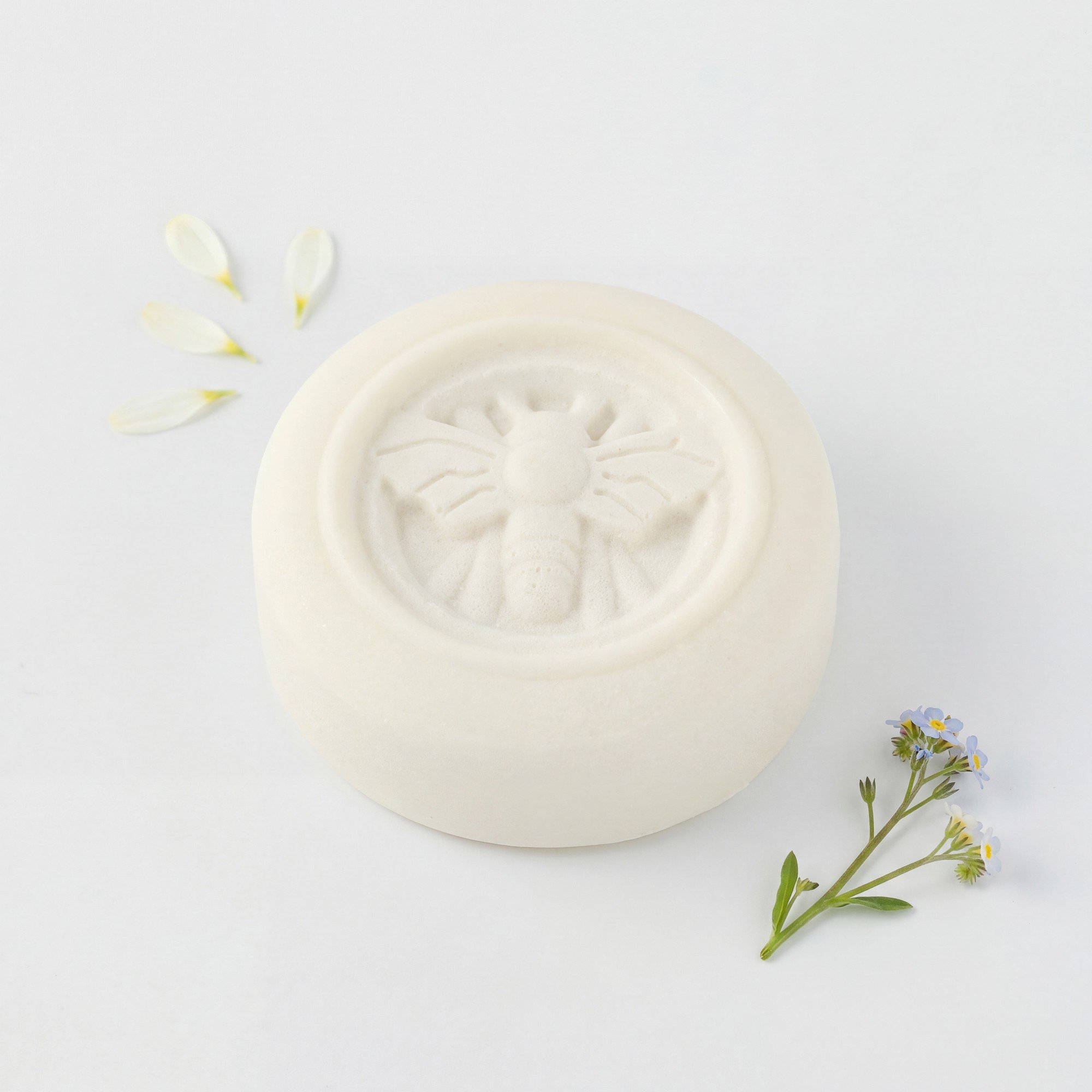 Solid Deodorant Set: 3 or 6