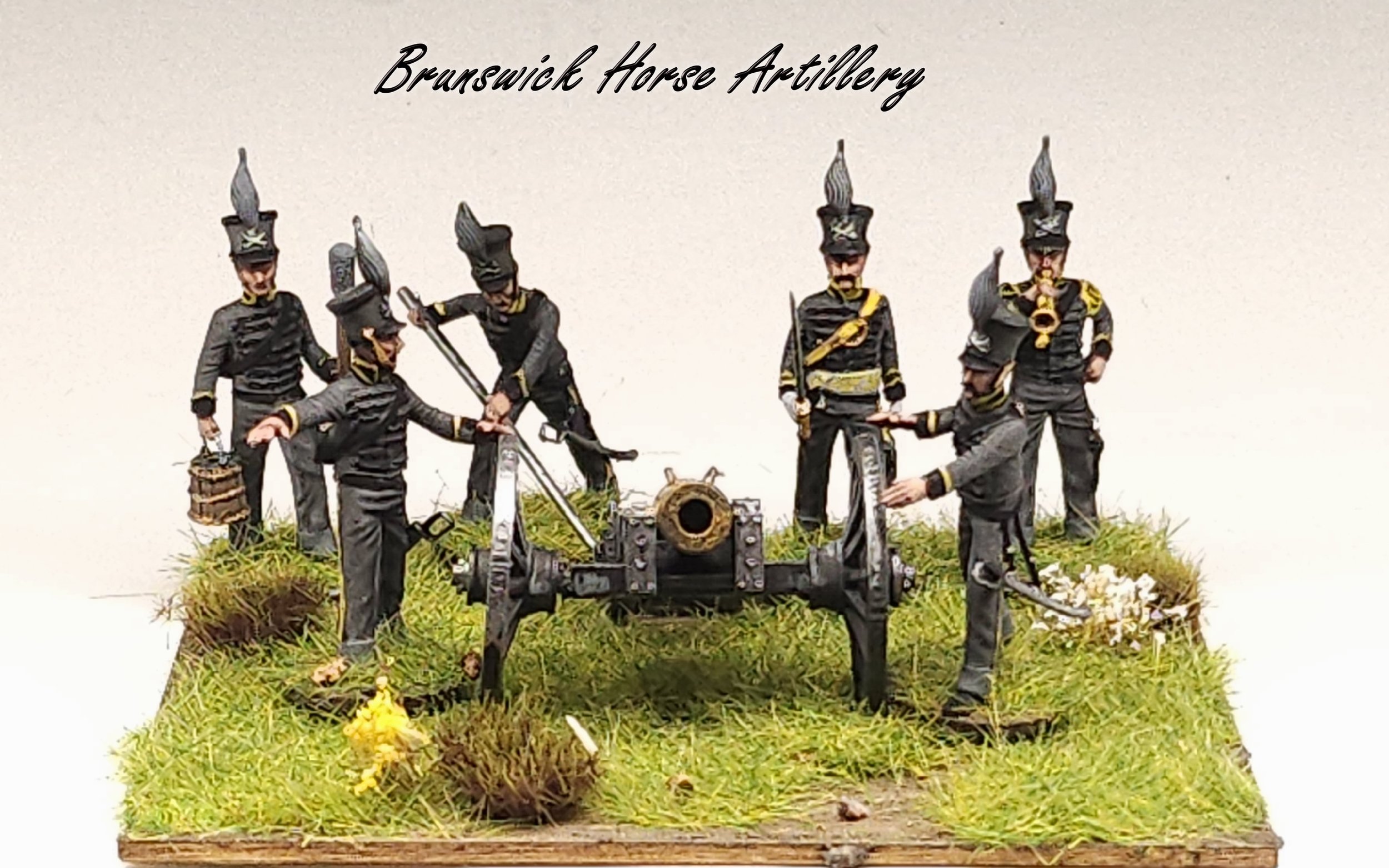 horse1.jpg
