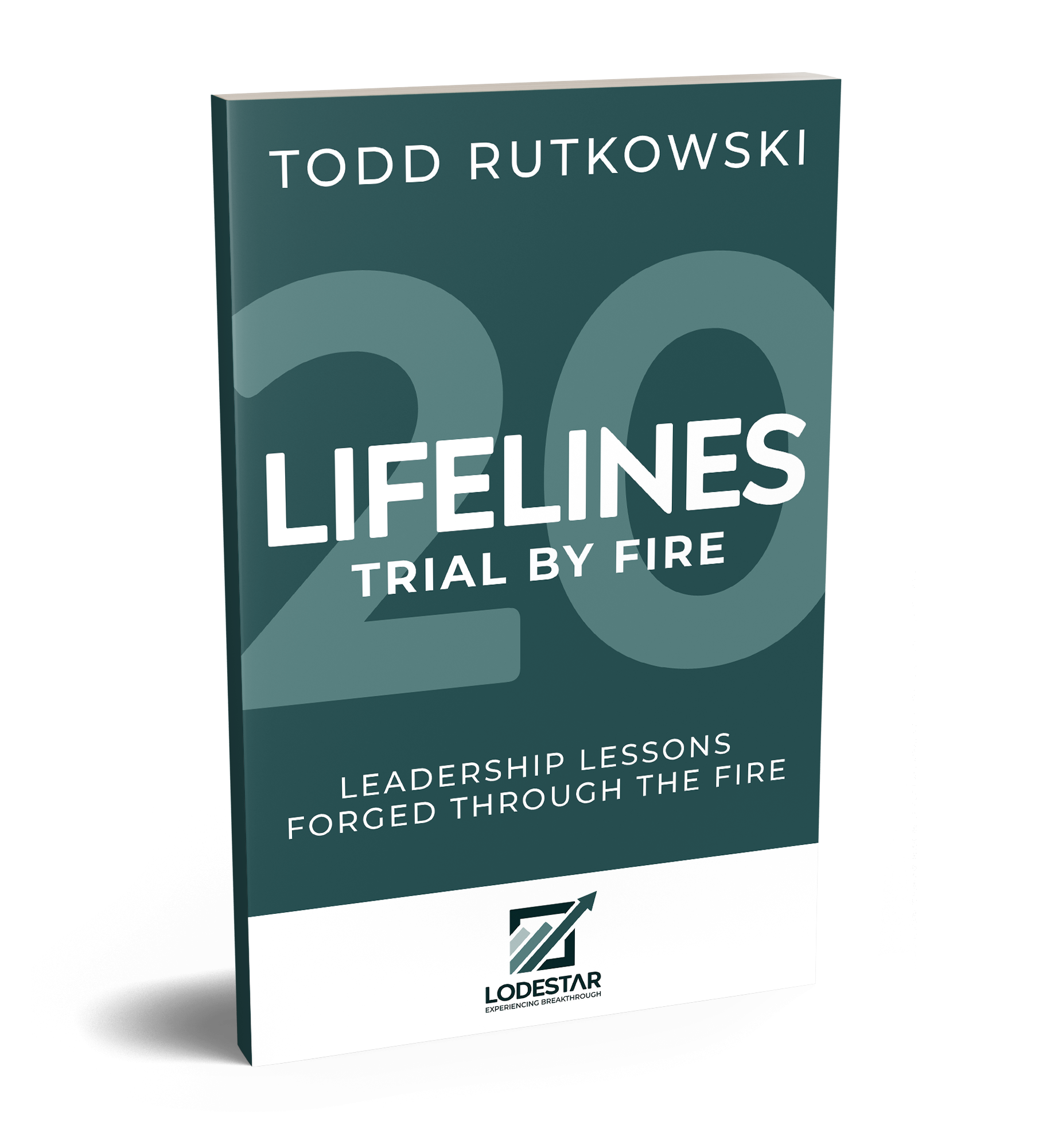 Trial by Fire book image.png