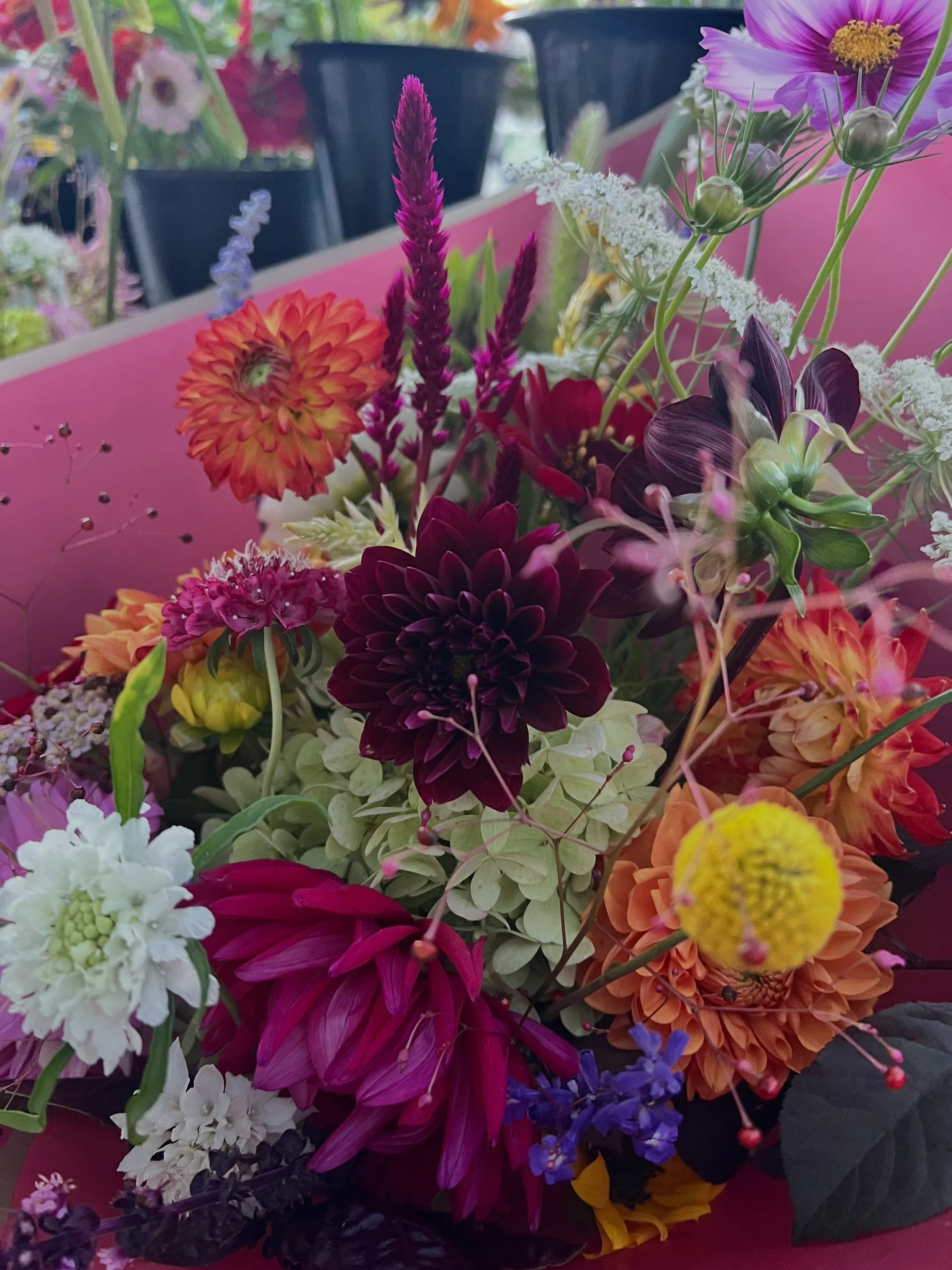 Snapshots from yesterday&rsquo;s market, cheerful bright blooms on a gray day.