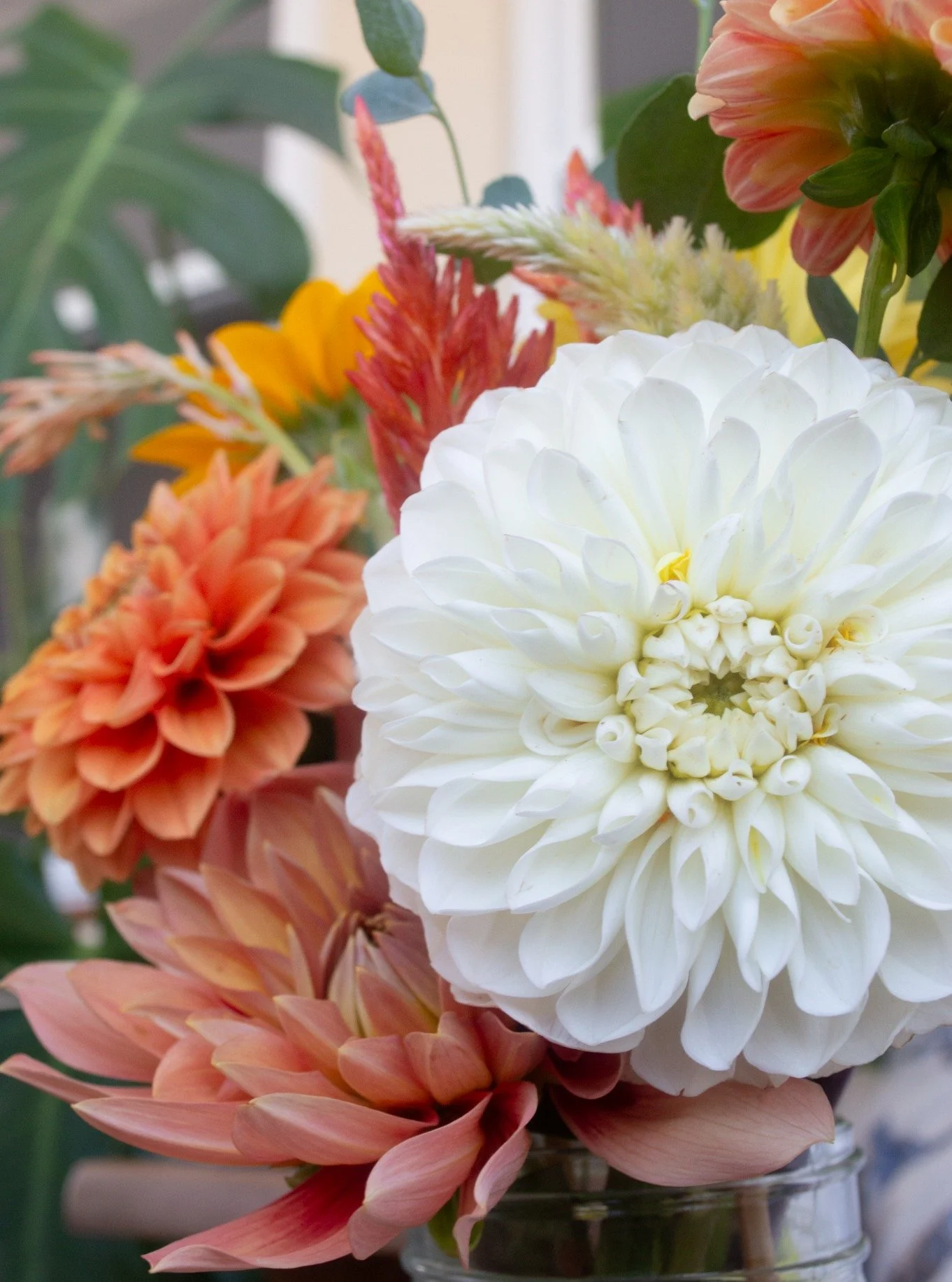 Do you love taking photos of your flowers too? We love seeing the beautiful photography our customers share 🩷🌻📸