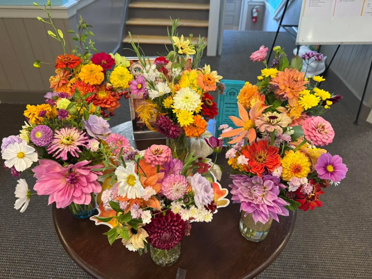 Just dropped off flowers for seniors to take home at Cameron senior center in Westford. 

Also, many thanks for everyone who donated the mason jars and vases.
#seniors #westfordmassachusetts