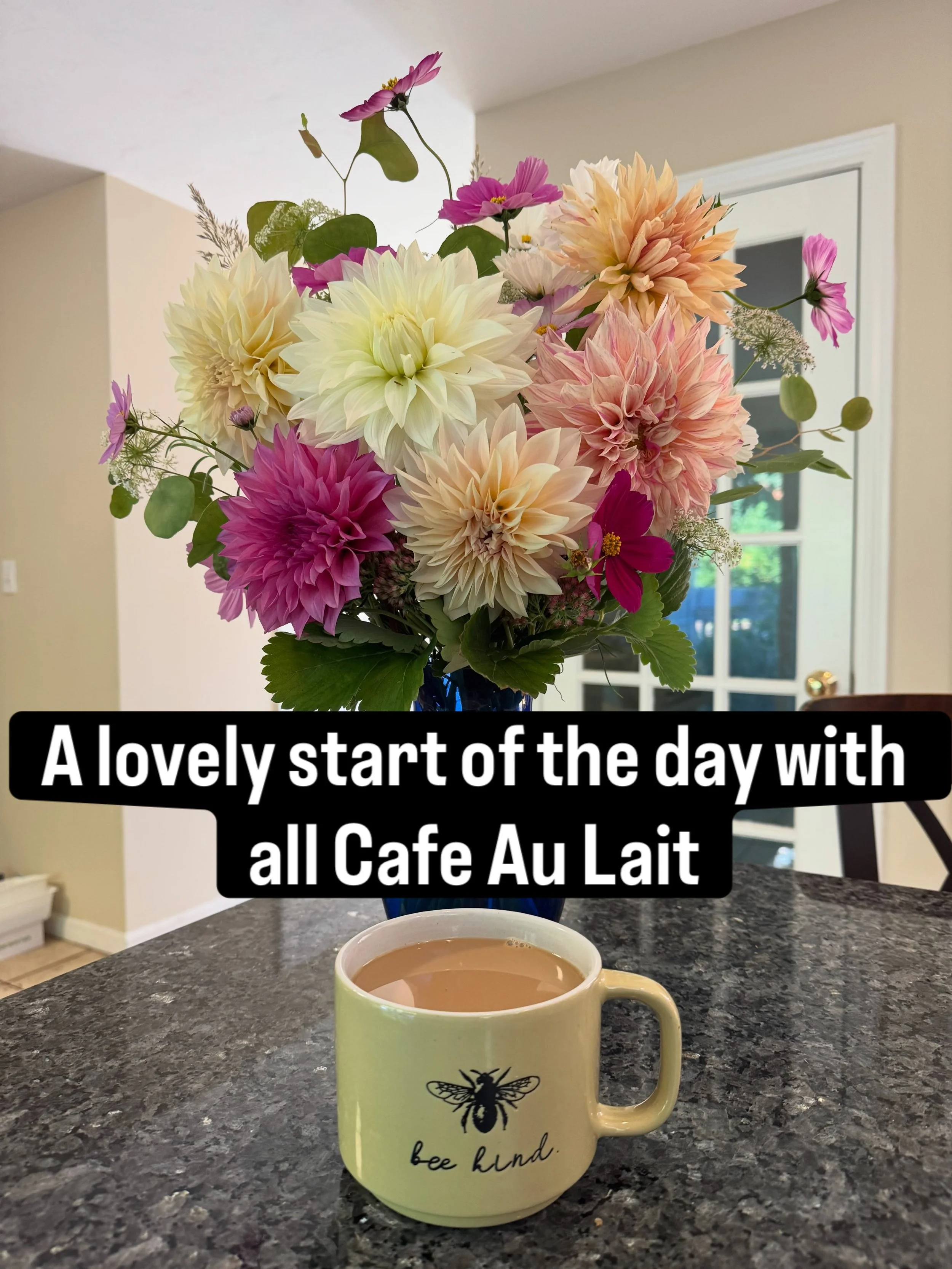 What is your favorite Cafe Au Lait?!