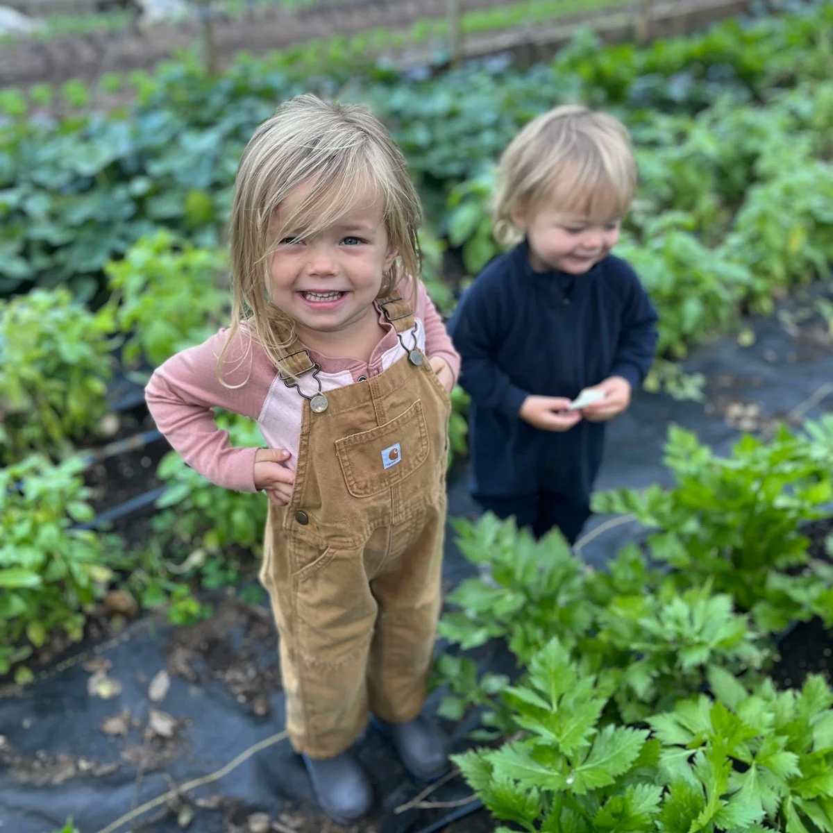 Gardening with Kids / Afternoon Session