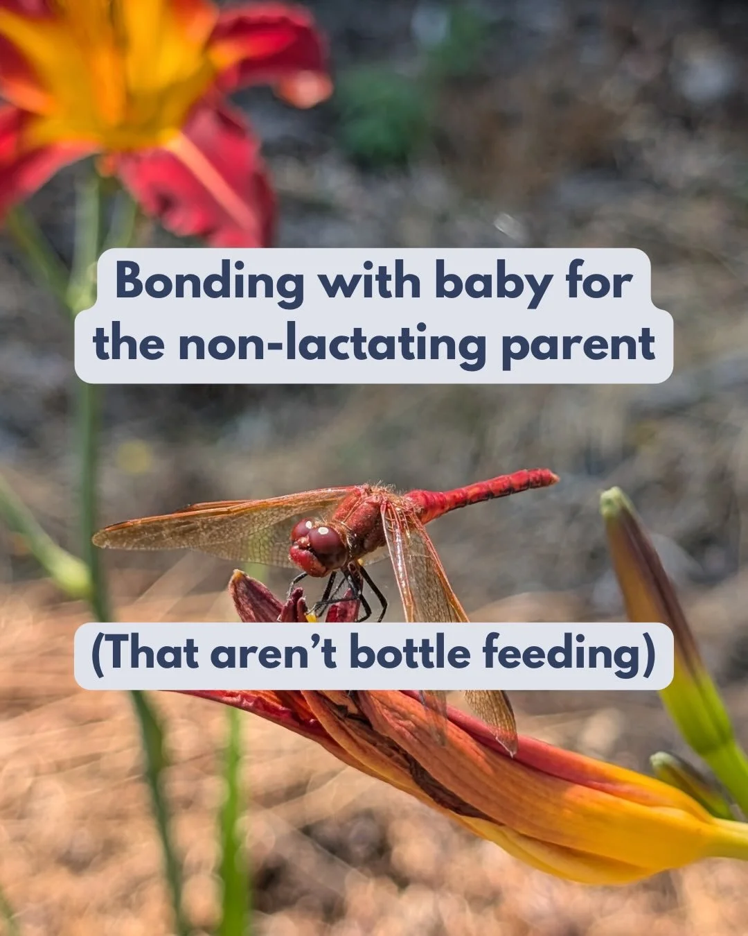 You might be hearing this piece of advice from well-meaning people: Just pump so the non-lactating parent can bond with baby!

Setting aside how much of an ask this is for the lactating parent (who is often recovering from birth as well), there are s