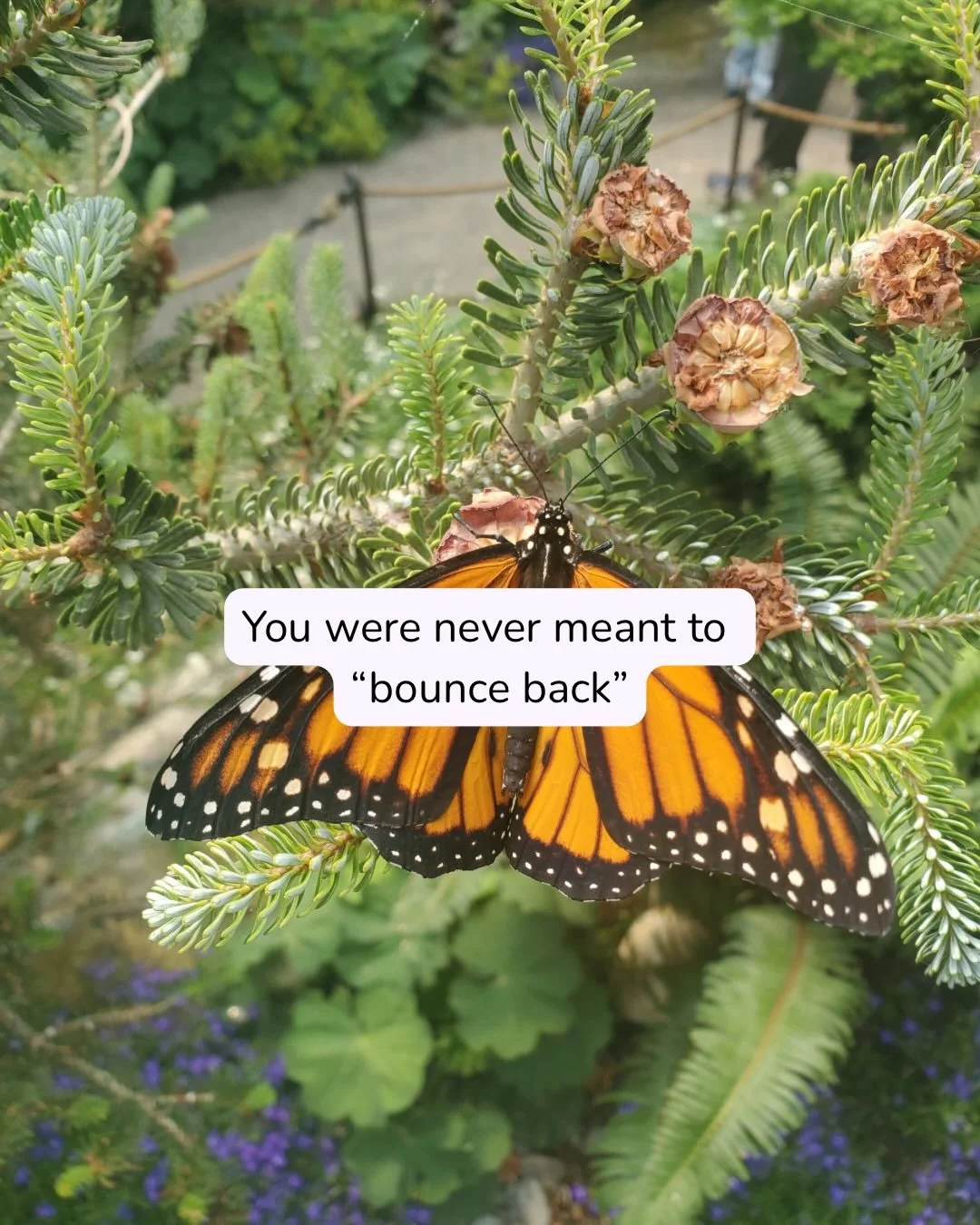 The pressure to &ldquo;bounce back&rdquo; to your body, your job, or just the person you were before you had a baby, is strong.  Motherhood changes us, whether it&rsquo;s our first baby or our third. Becoming a caregiver literally rewires our brains 
