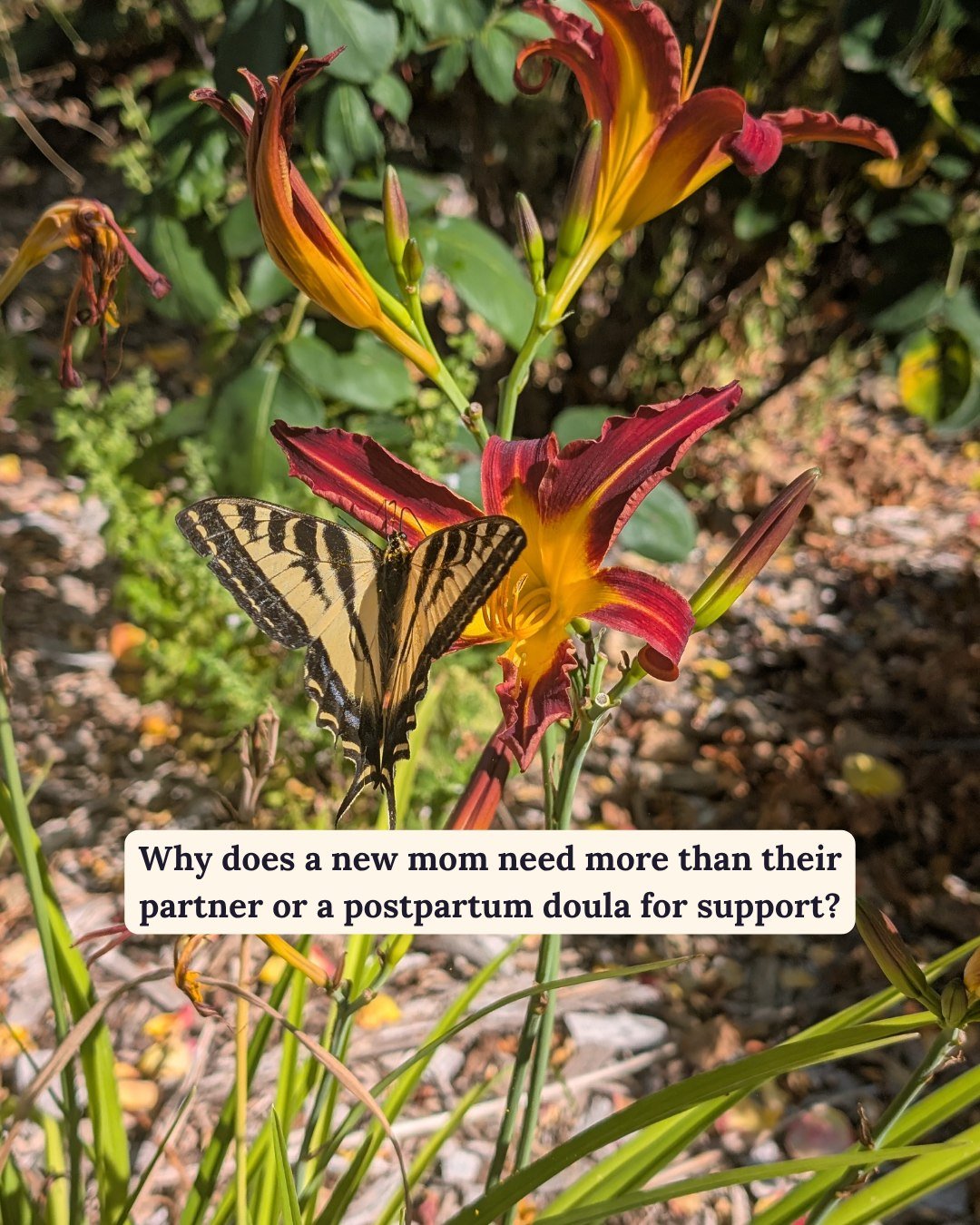 New mothers do not get the support they need to thrive. Postpartum doulas and 4-12 weeks of leave for a co-parent/partner are nothing more than a band-aid. 

Is it any wonder we&rsquo;re seeing not just the cracks, but the chasms left behind when we 