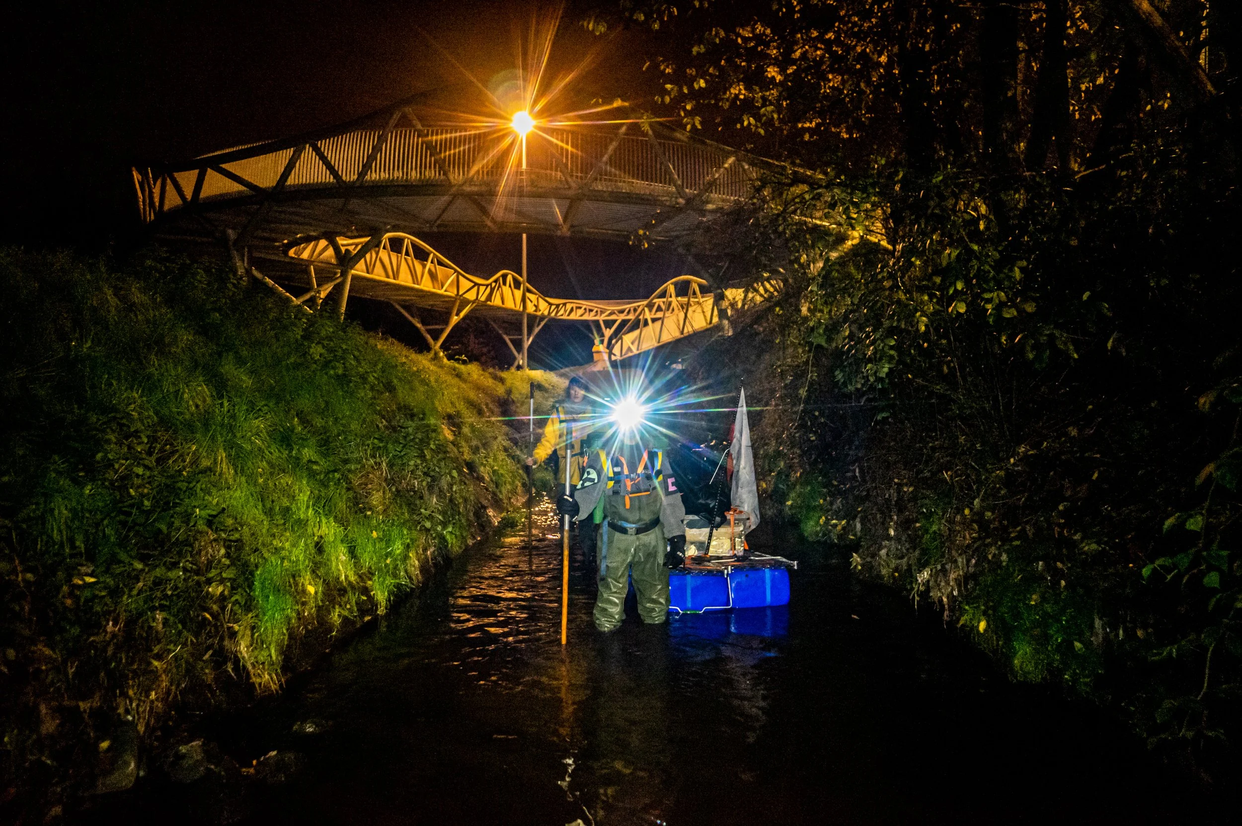 Stiemer 2 ©Simon Verschelde .jpg