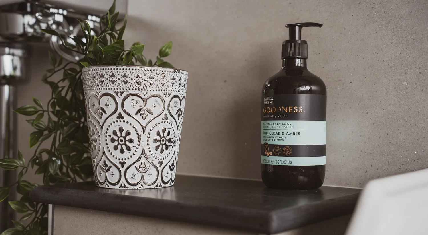 Plant pot and soap dispenser on a dark vanity top, Lancing