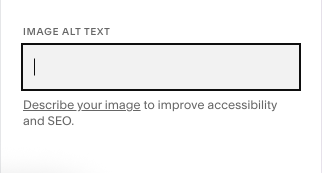 screenshot of "image alt text" pop up for website images on Squarespace
