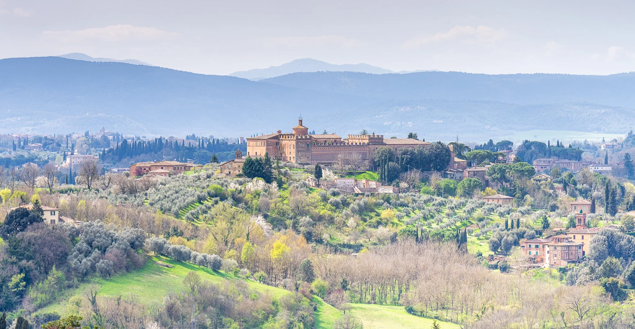 Siena JPEG-3.JPG