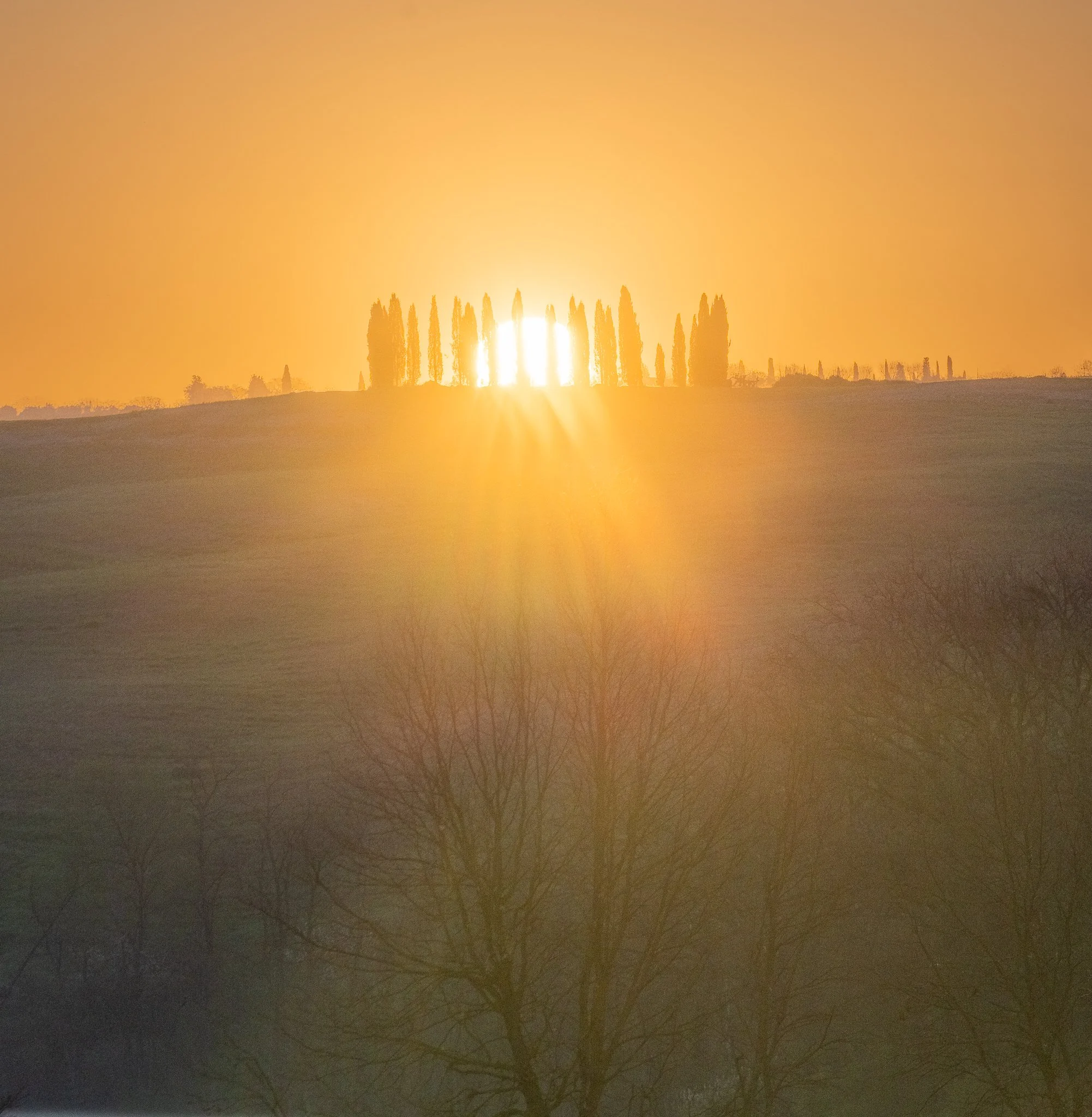 Tuskany Landscape-7.JPG