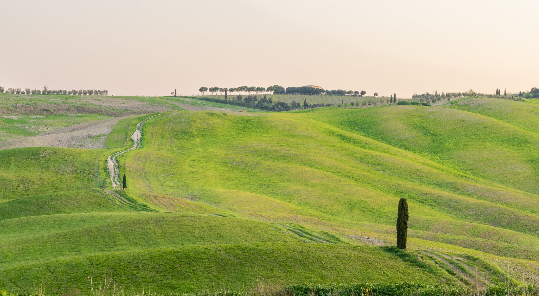 Tuskany Landscape-6.JPG