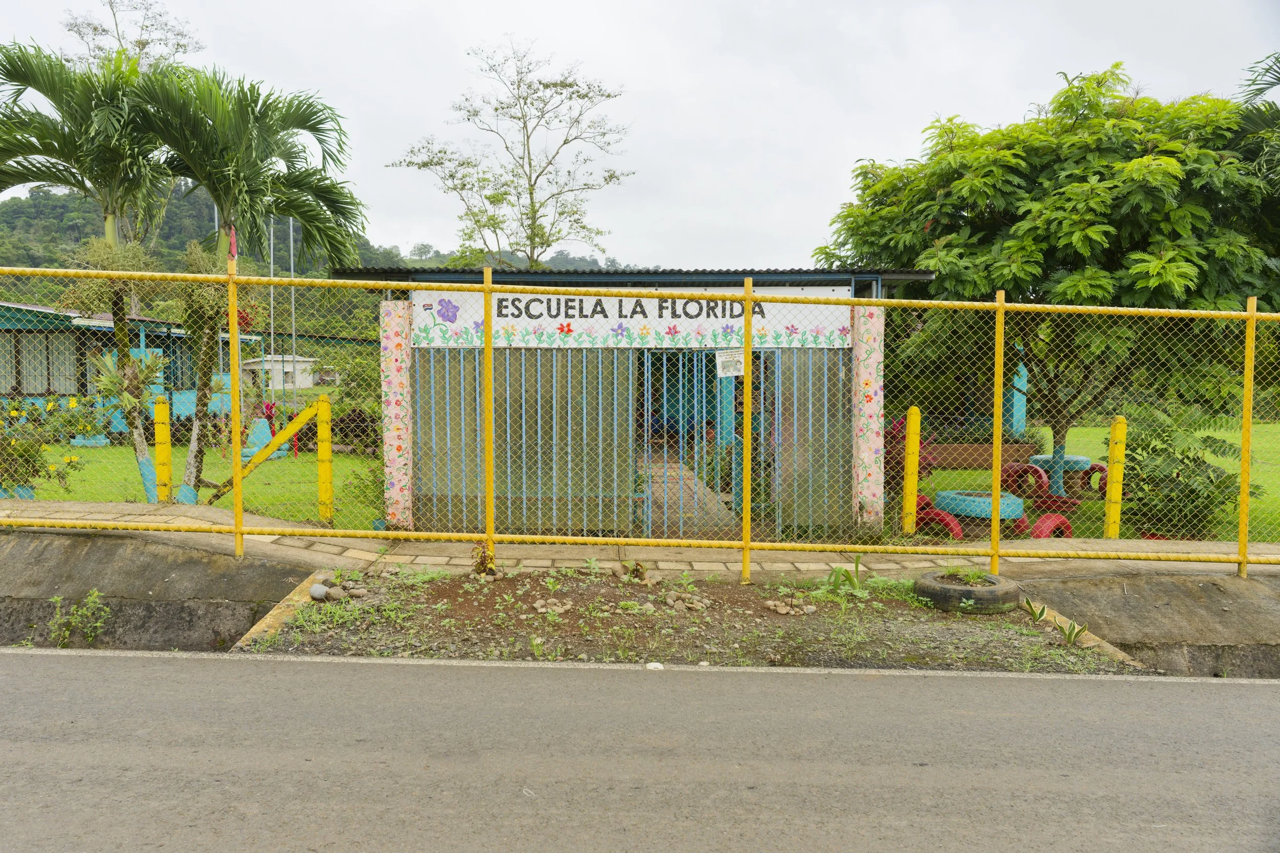 Street-8.jpg