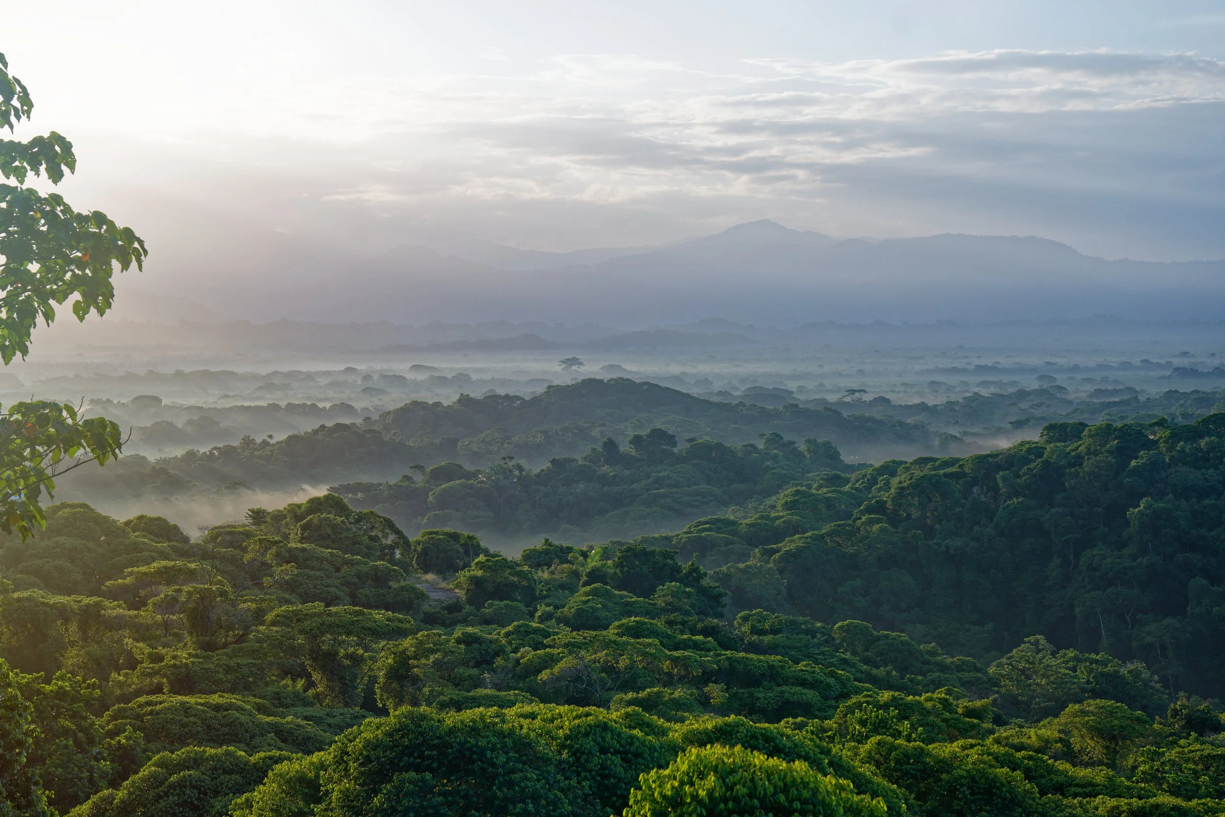 Quepos Costa Rica-1.jpg