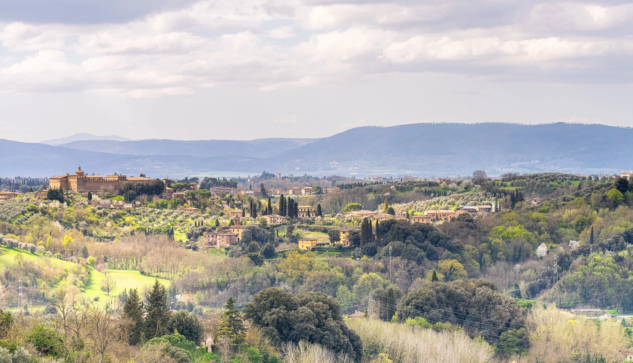 Siena JPEG-2.JPG