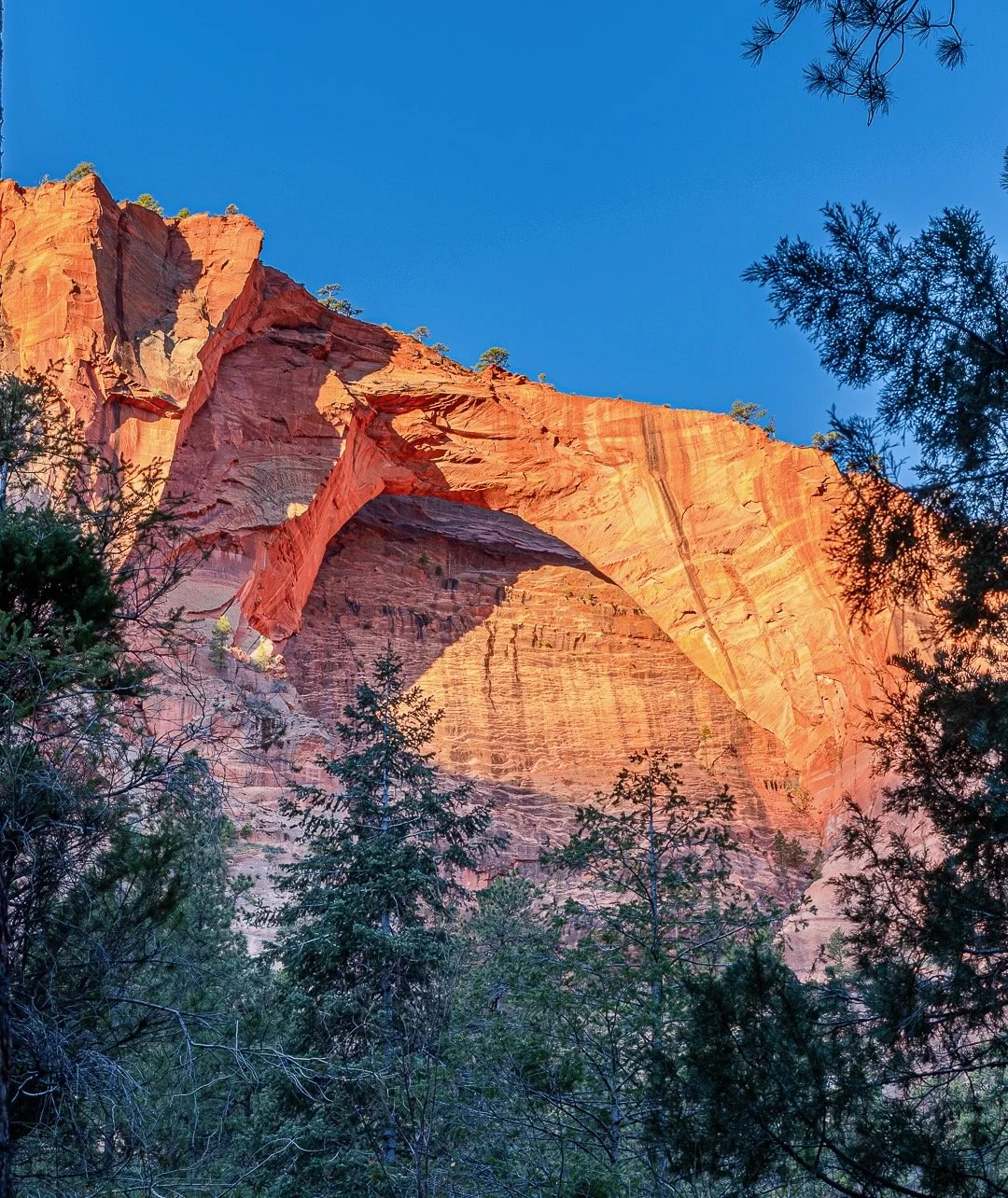 Zion National Park-15.jpeg