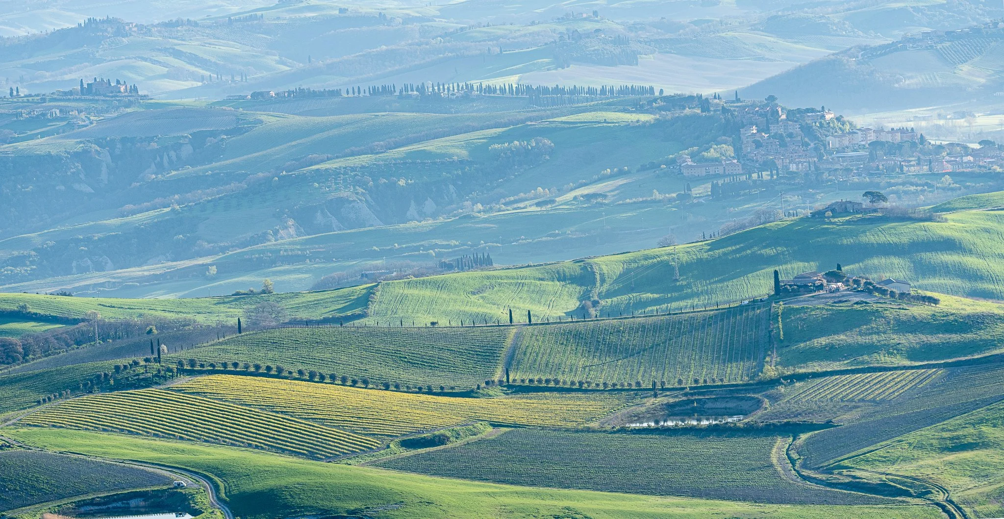 Tuskany Landscape-12.JPG