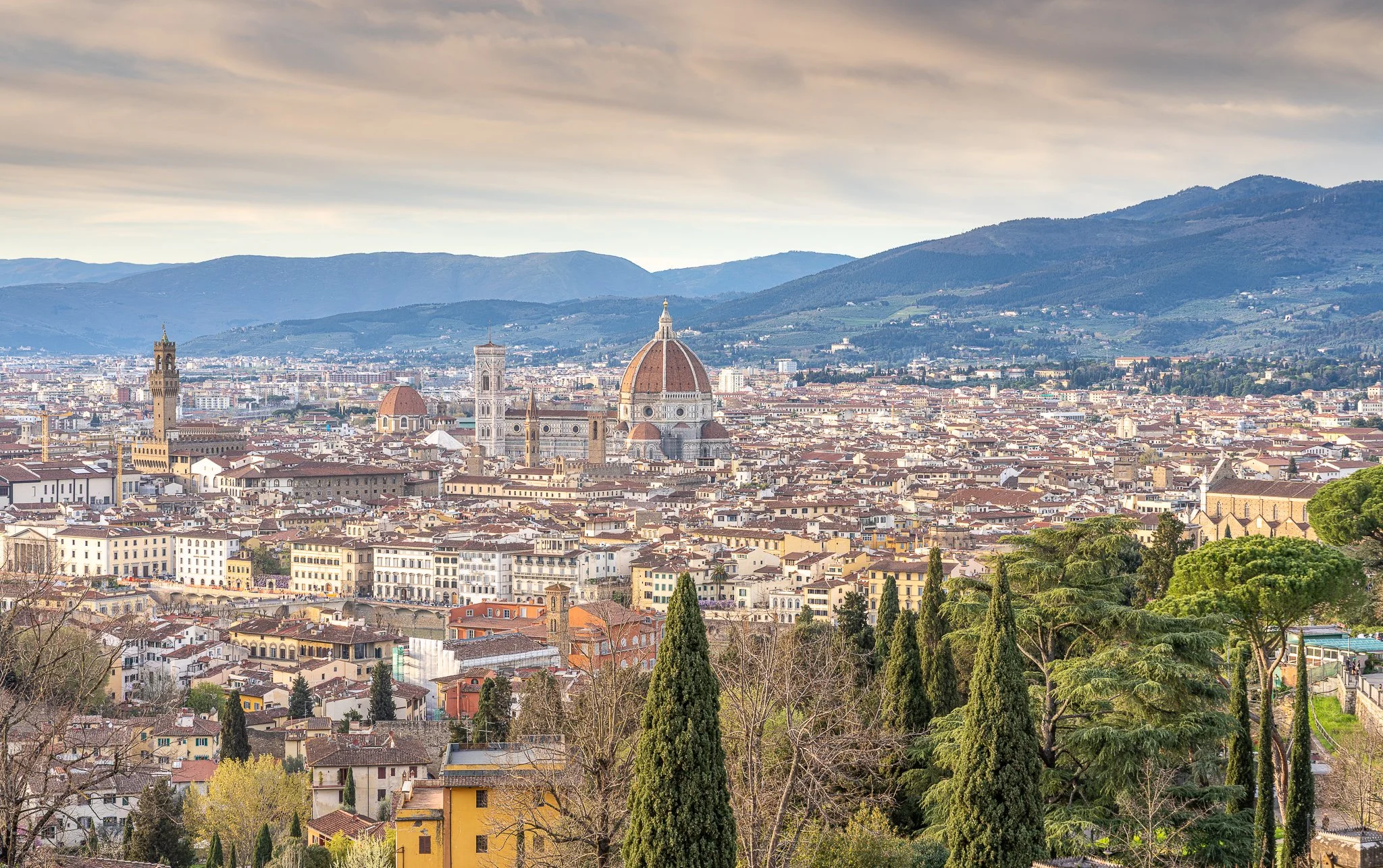 Florance-3.JPG
