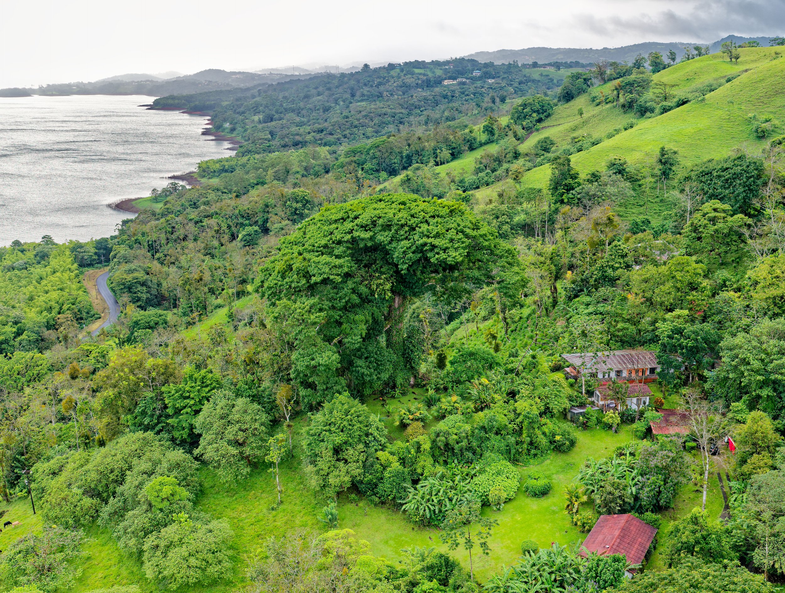 Mavic 4 Pro Footage-4.jpg