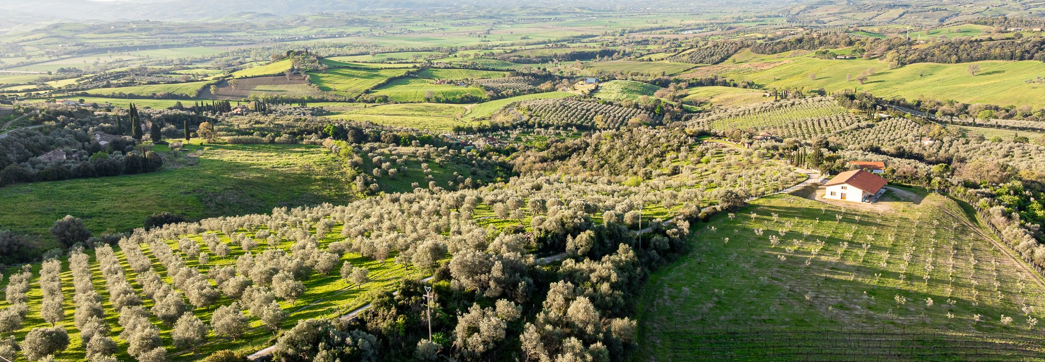 Tuskany Landscape-3.JPG