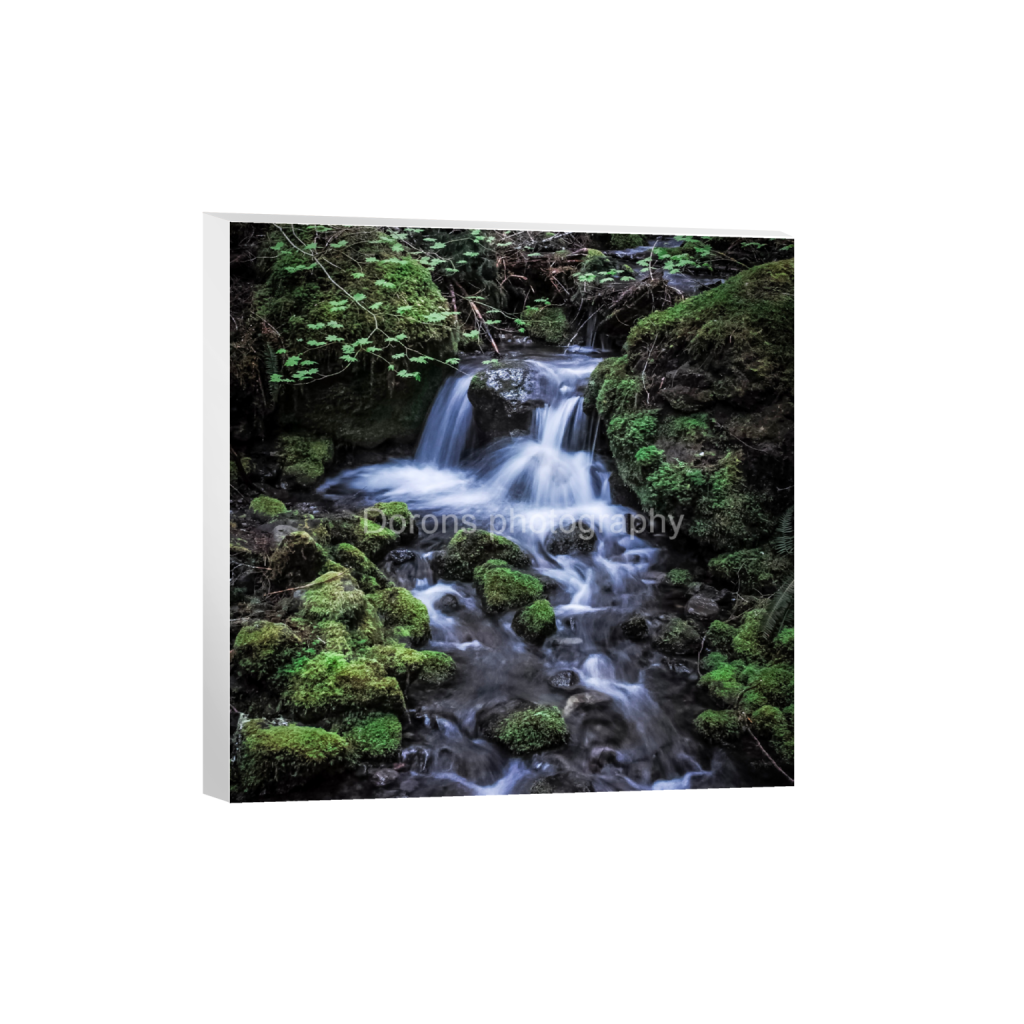 ptq_7_0_0_245_2132_2132_0_false_ffffff_0_0_8bb541a0131e5a50acf9a5df301fa08f.png