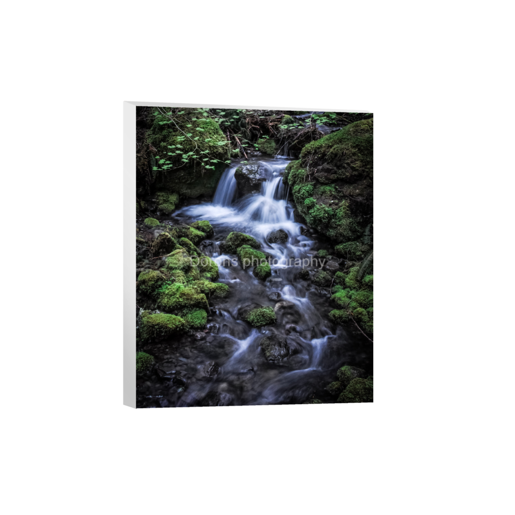 ptq_7_6_0_267_2132_2665_0_false_ffffff_0_0_8bb541a0131e5a50acf9a5df301fa08f.png