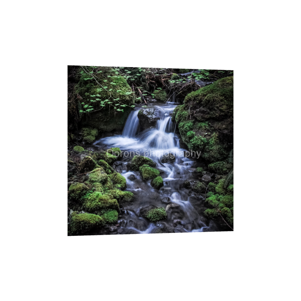 ptq_1_0_0_245_2132_2132_0_false_ffffff_0_0_8bb541a0131e5a50acf9a5df301fa08f.png