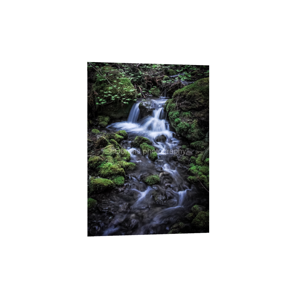 ptq_1_7_0_107_2132_2984_0_false_ffffff_0_0_8bb541a0131e5a50acf9a5df301fa08f.png