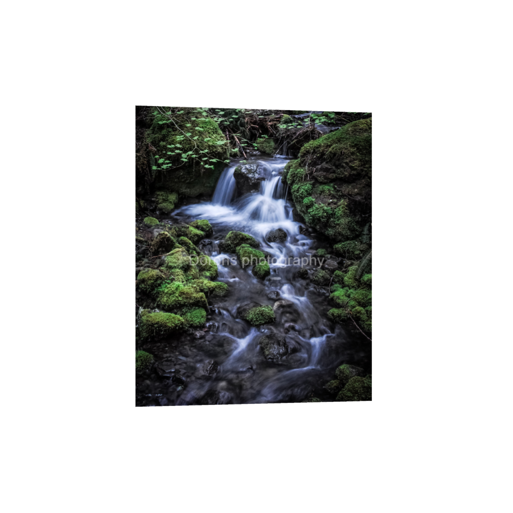 ptq_34_6_0_267_2132_2665_0_false_ffffff_0_0_8bb541a0131e5a50acf9a5df301fa08f.png
