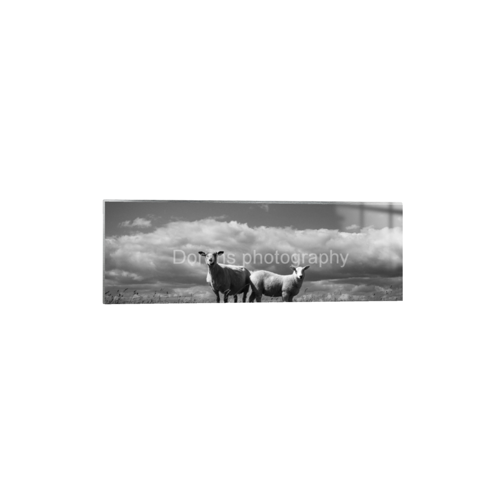 ptq_13_2_0_1022_6132_2044_0_false_ffffff_0_0_8bb541a0131e5a50acf9a5df301fa08f.png