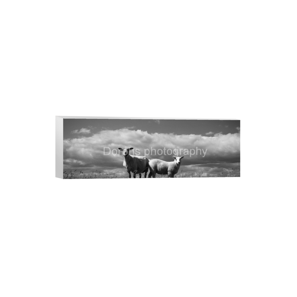 ptq_7_2_0_1022_6132_2044_0_false_ffffff_0_0_8bb541a0131e5a50acf9a5df301fa08f.png