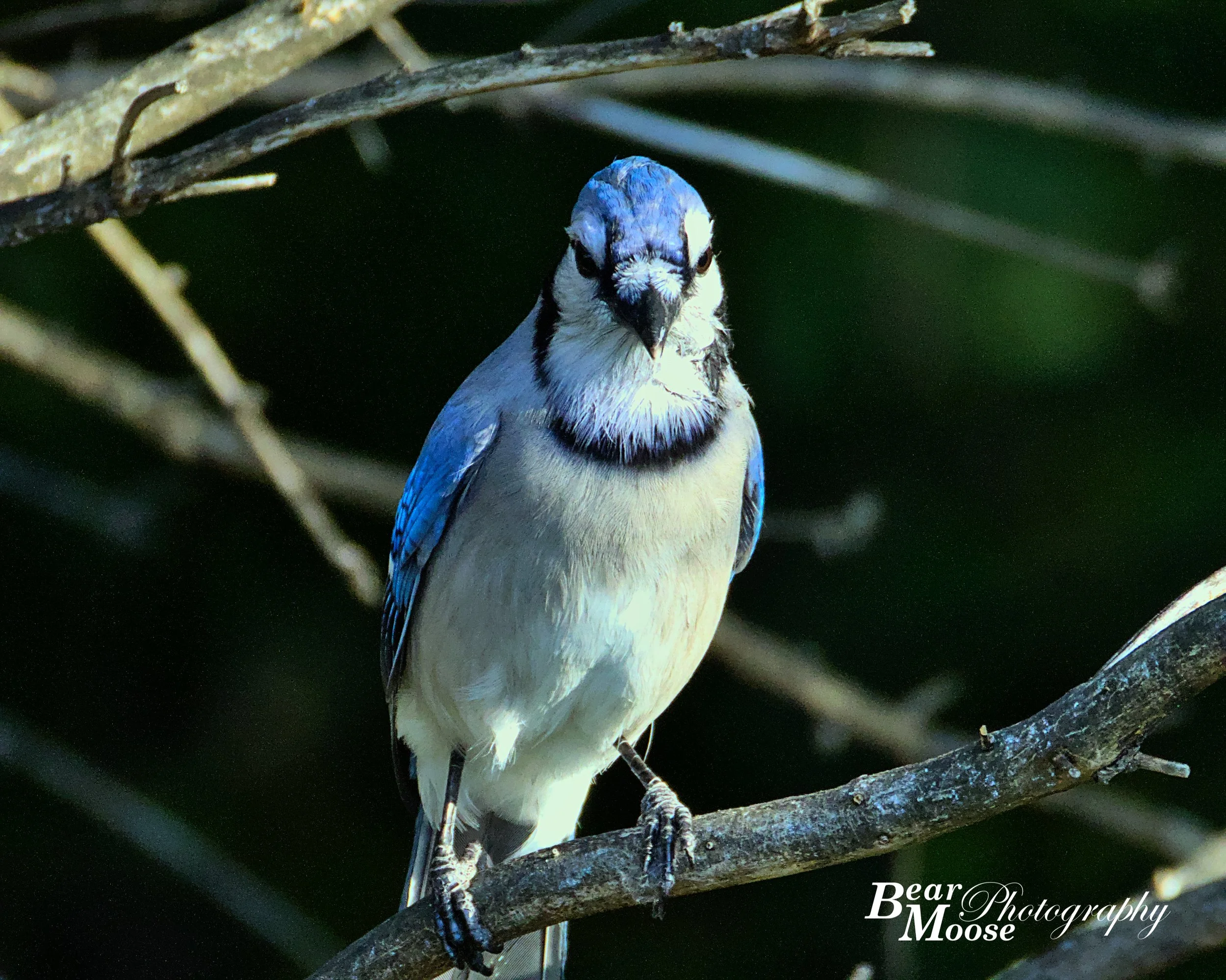 OCTR0208_01 (8x10).jpg