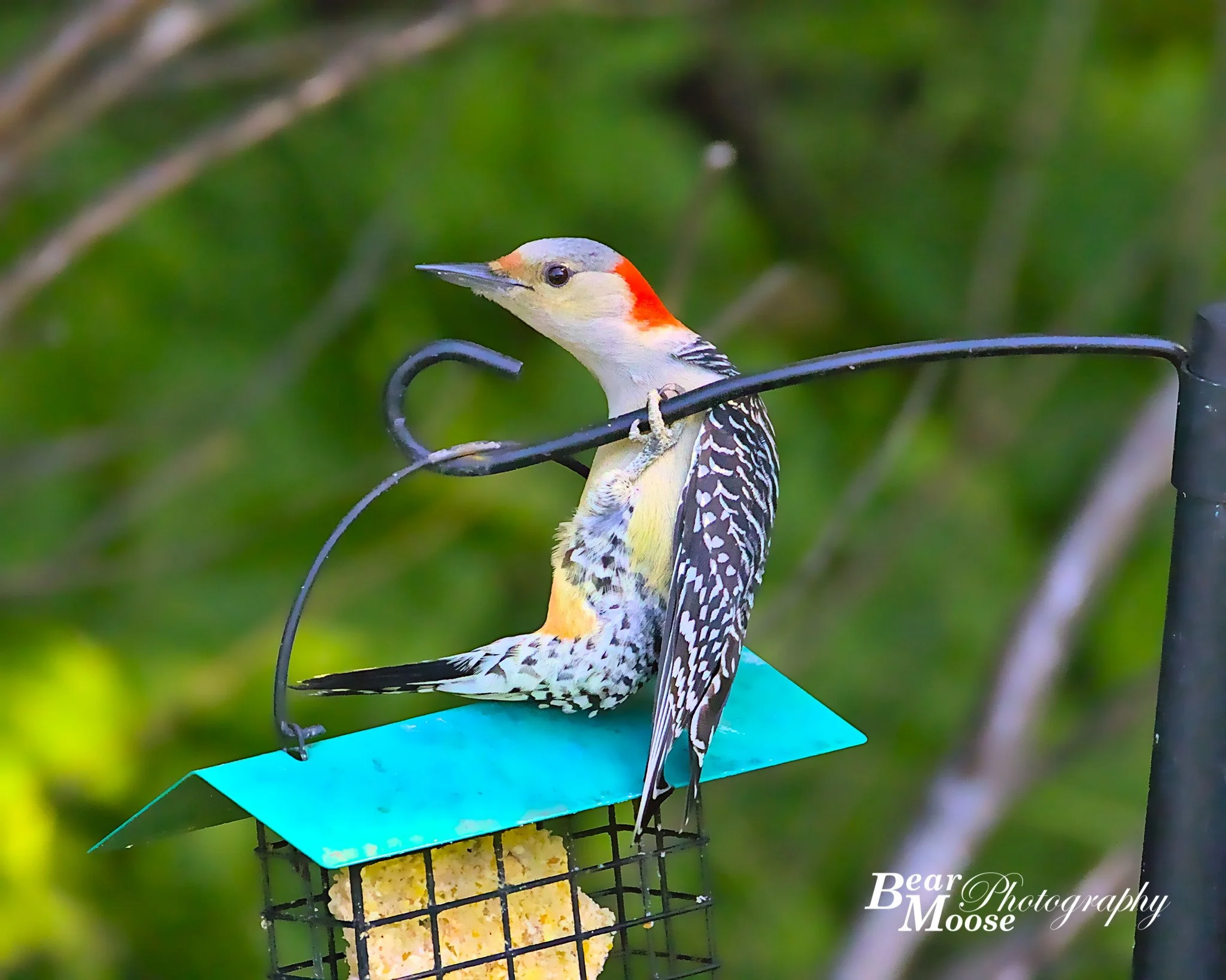 DLTH2339_01 (8x10).jpg