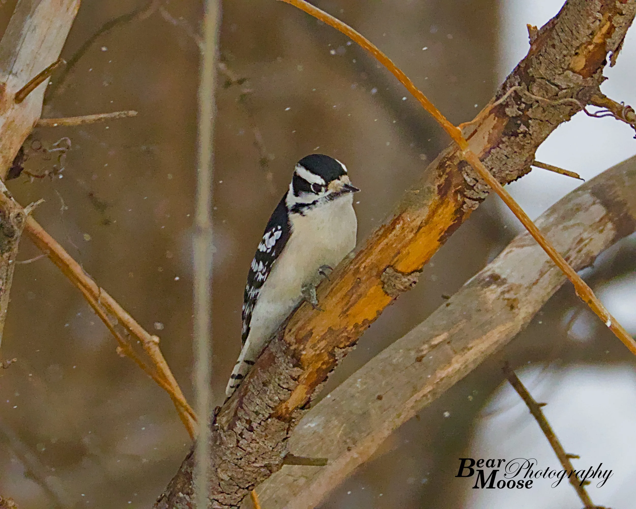 6JAN0151_01 (8x10).jpg