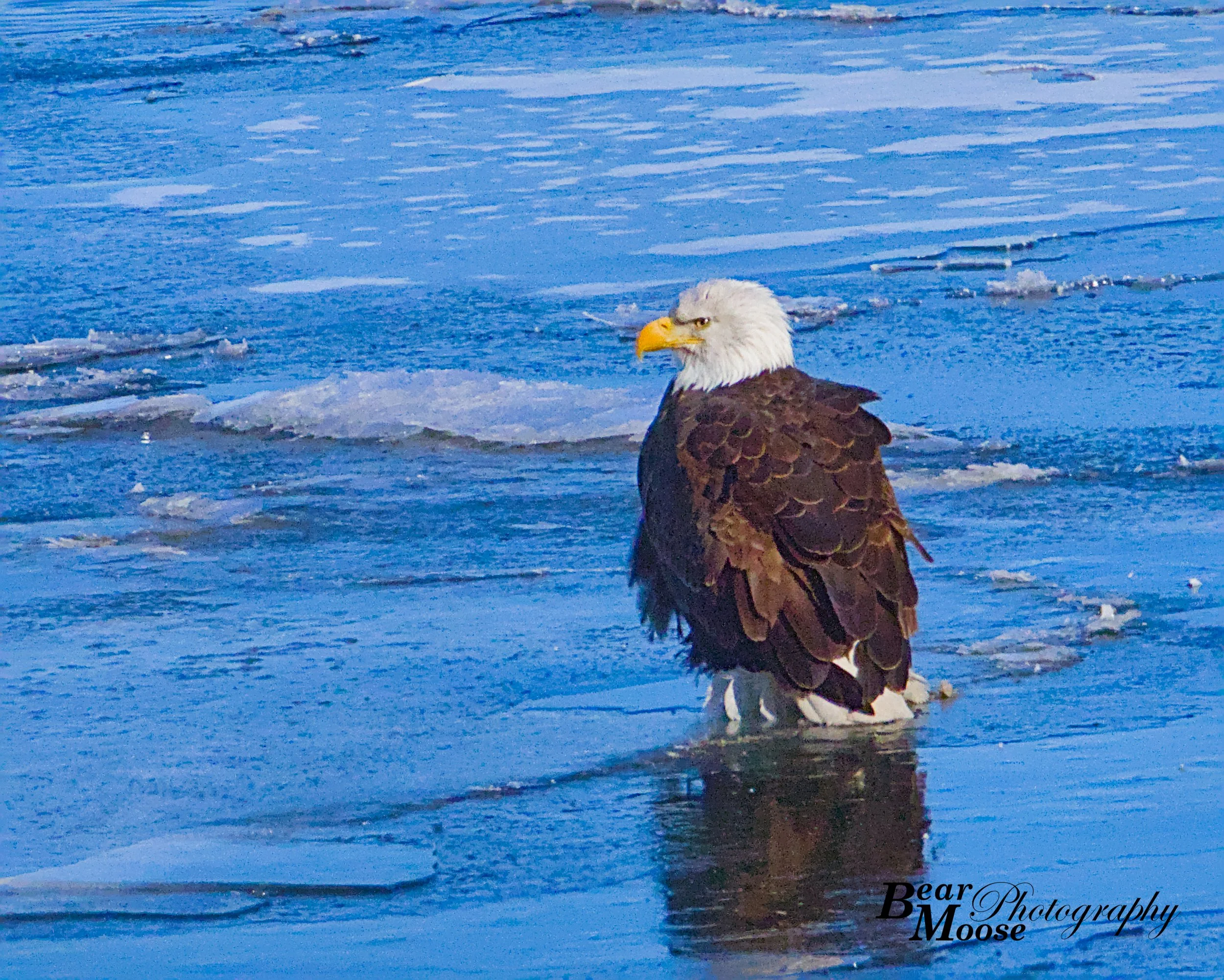 WBSH0588_01 (8x10).jpg