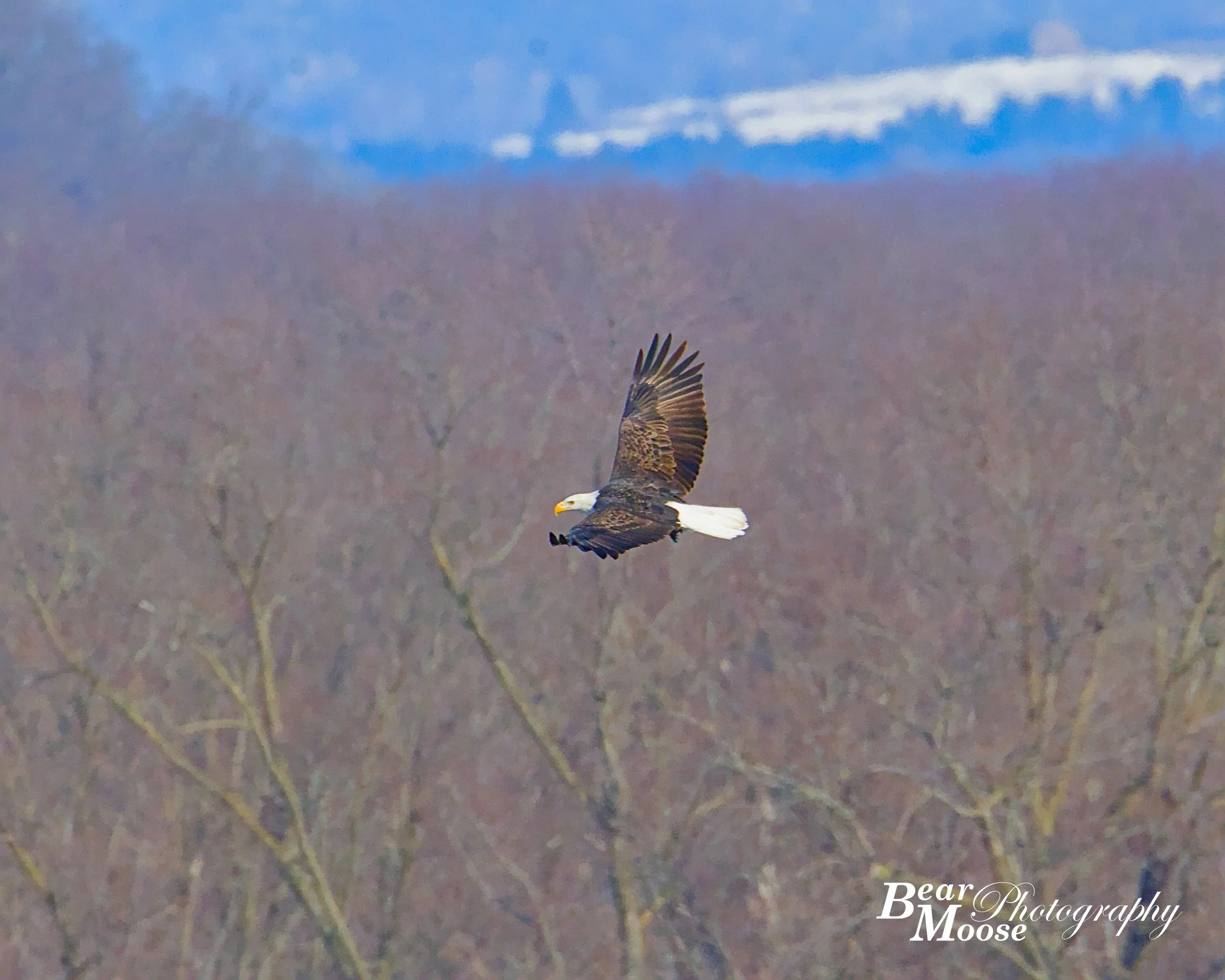 WBSH0287_01 (8x10).jpg