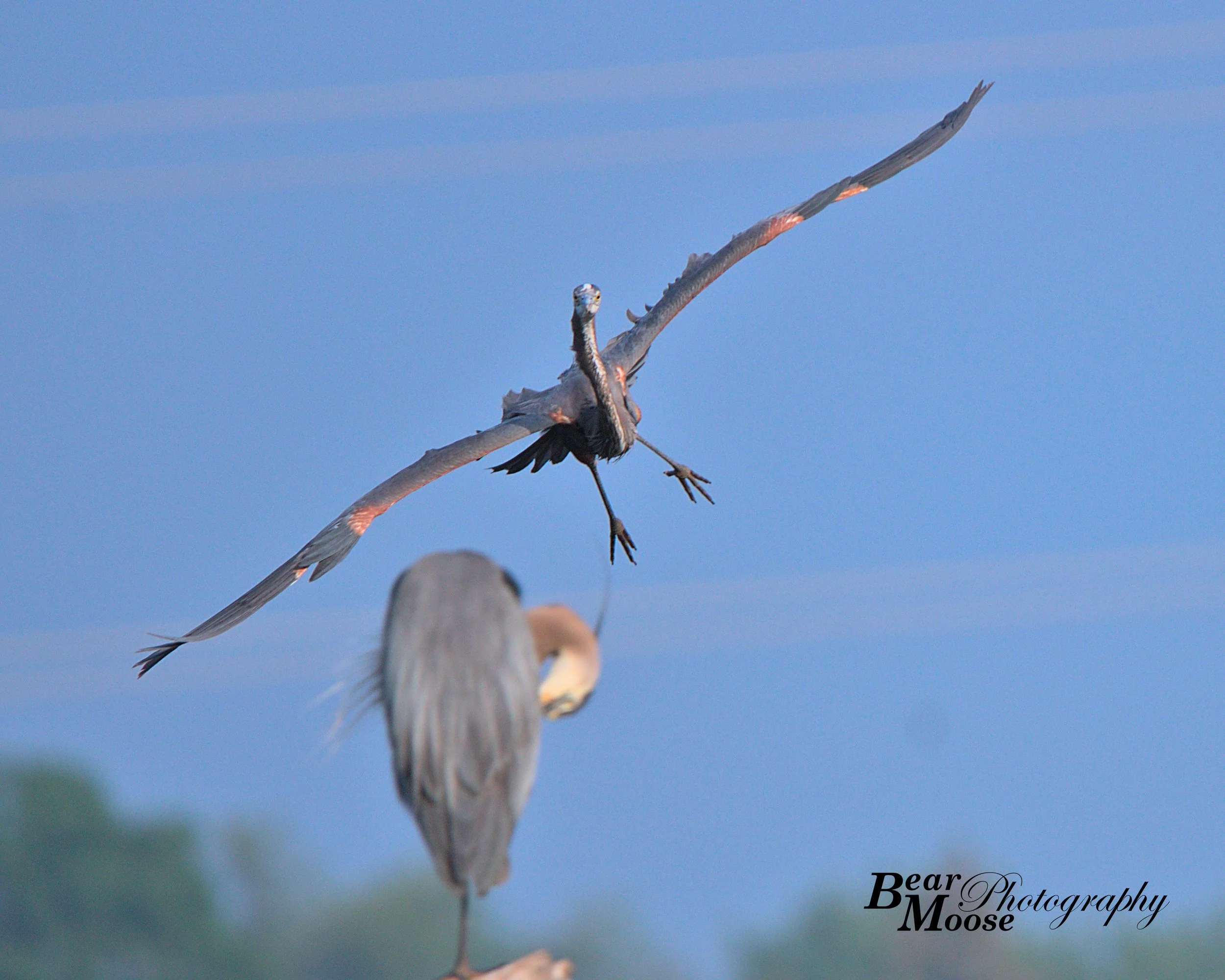 IMG_5730_01 (8x10).jpg