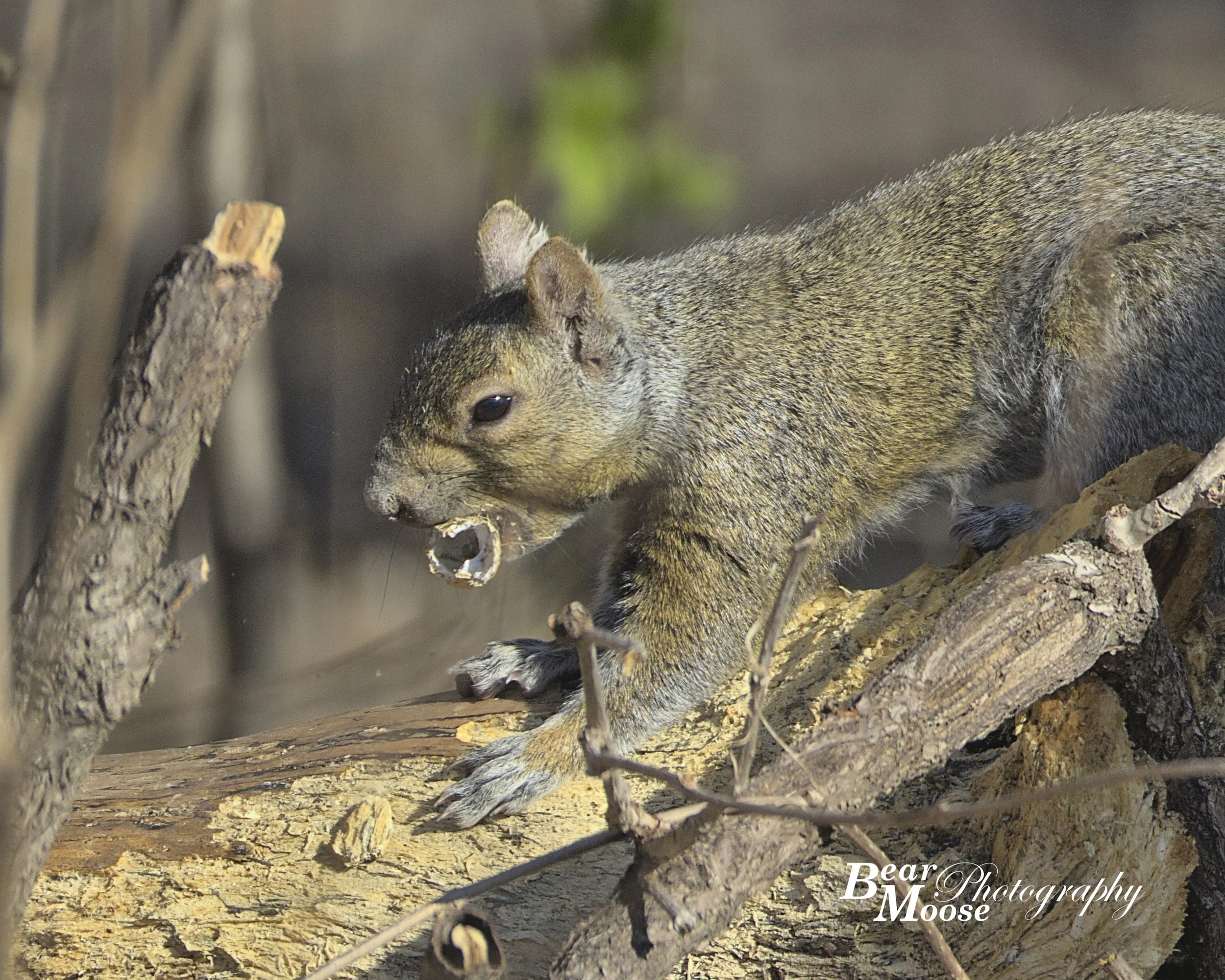 APRL0878_01 (8x10).jpg