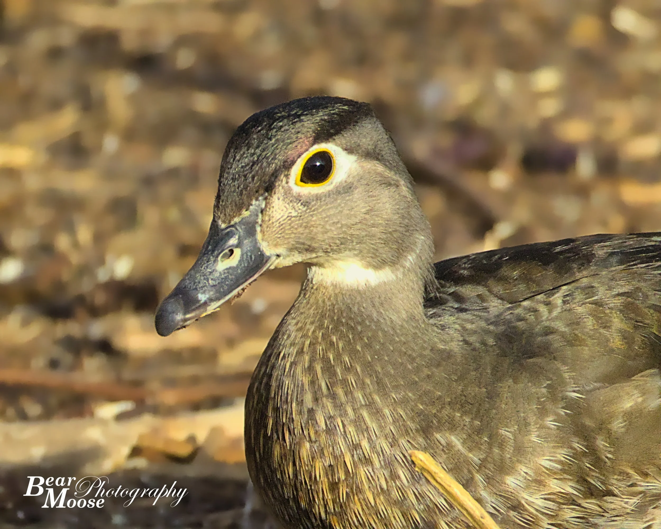 RKRY0107_01 (8x10).jpg